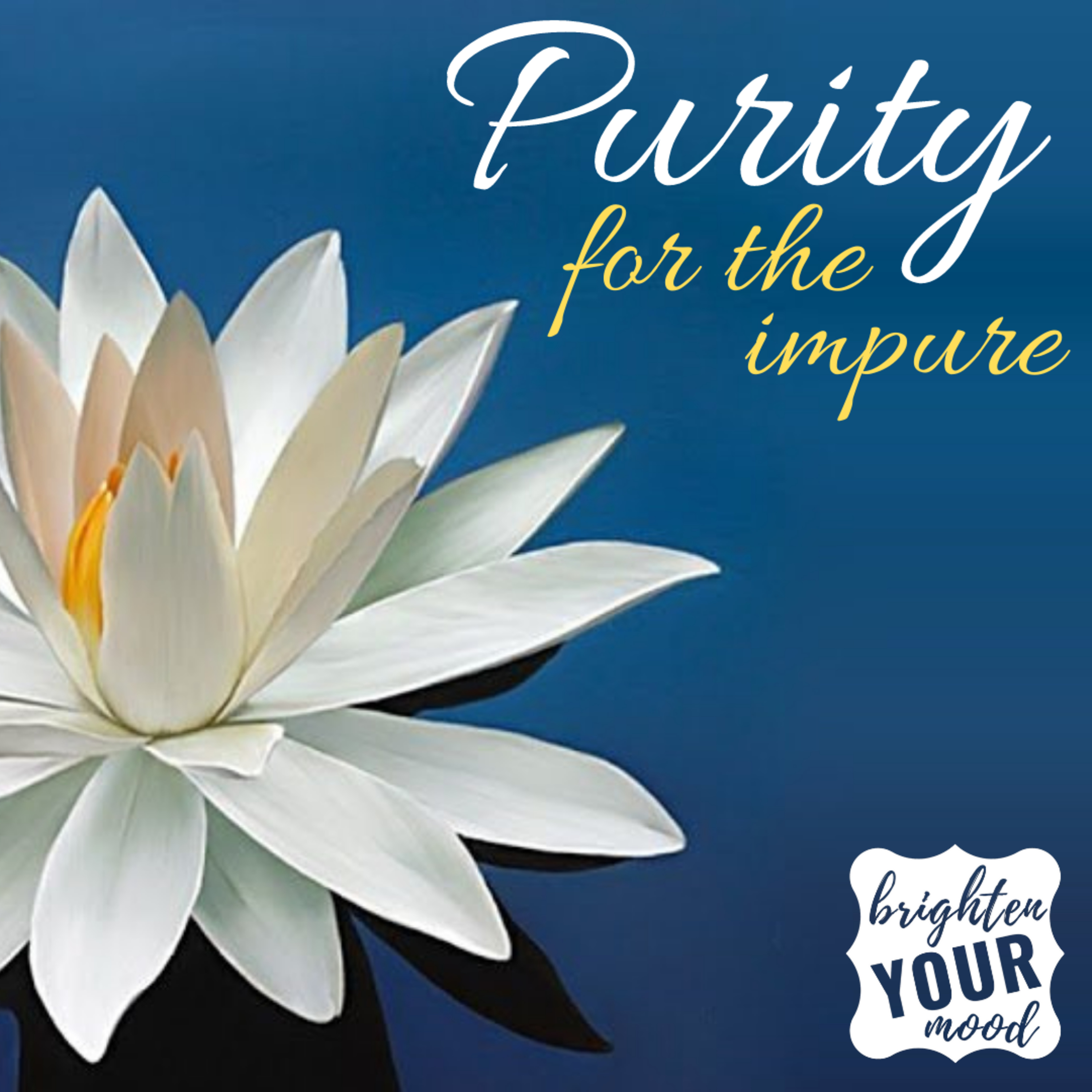 Purity for the impure episode artwork
