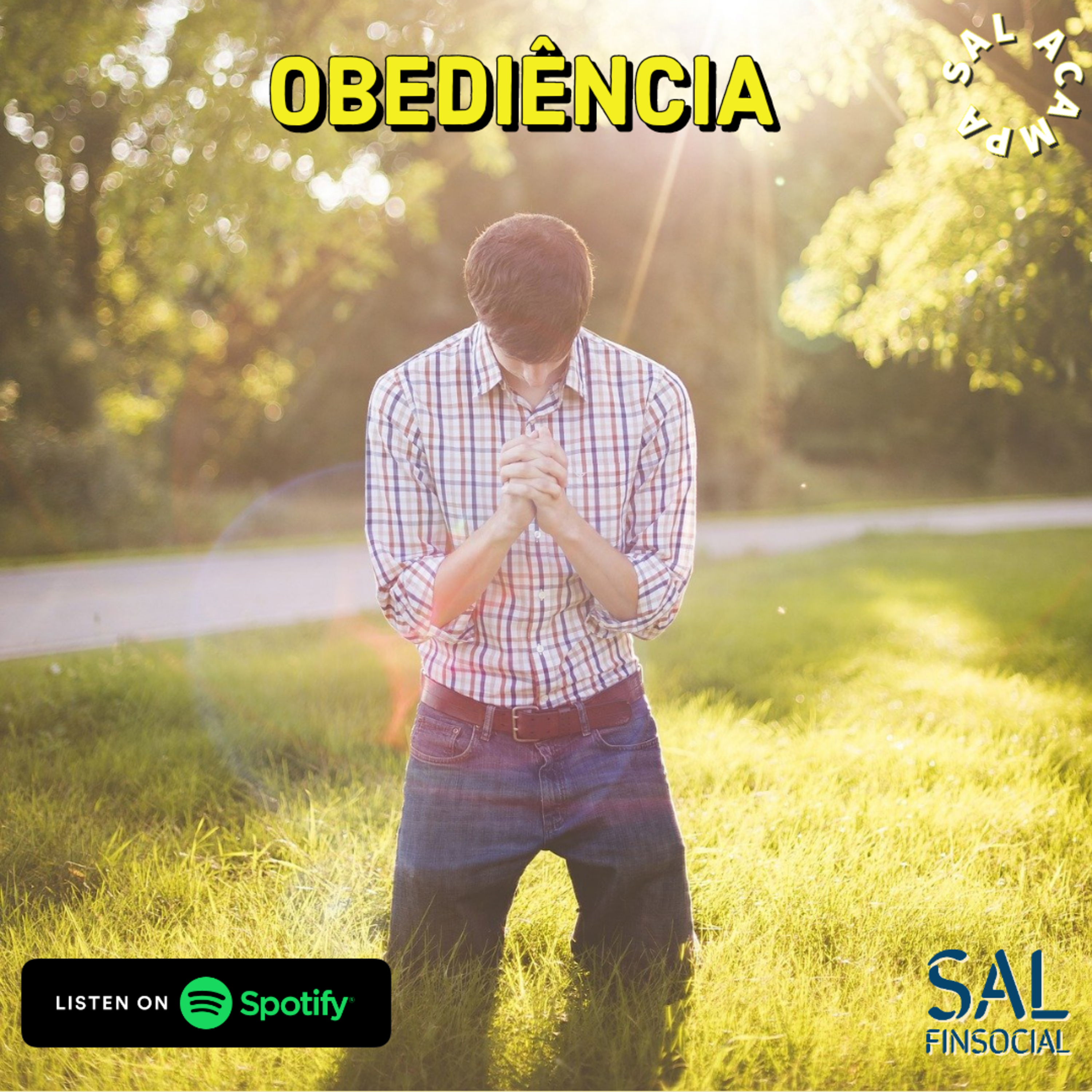 Sal da Terra Finsocial