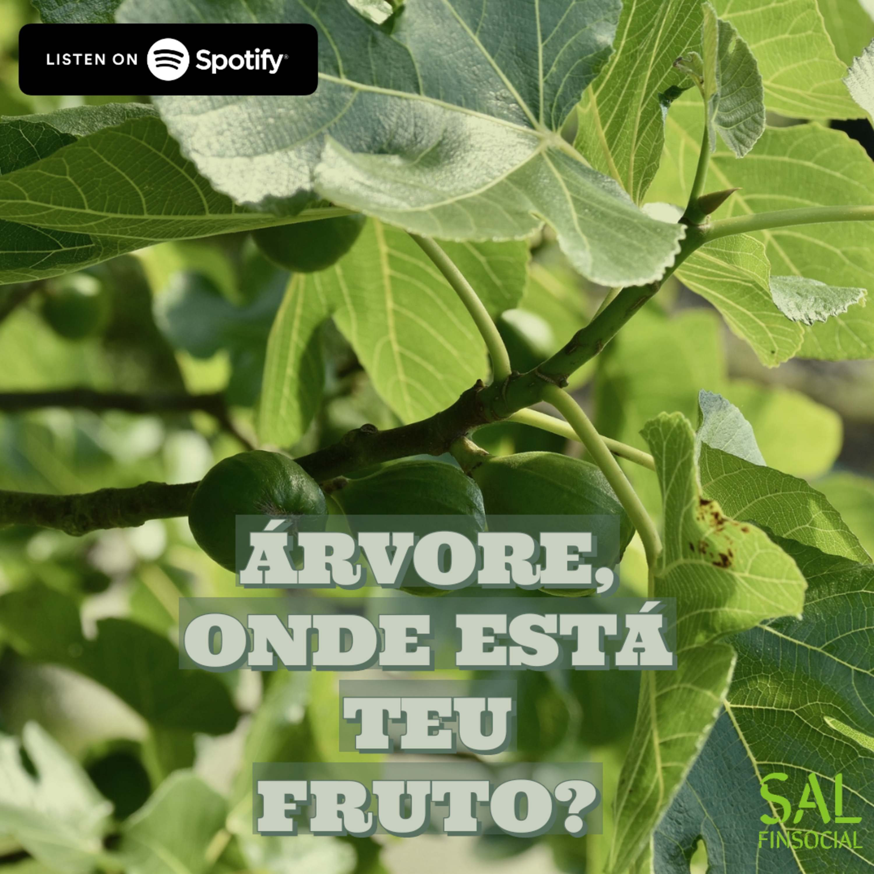 Sal da Terra Finsocial
