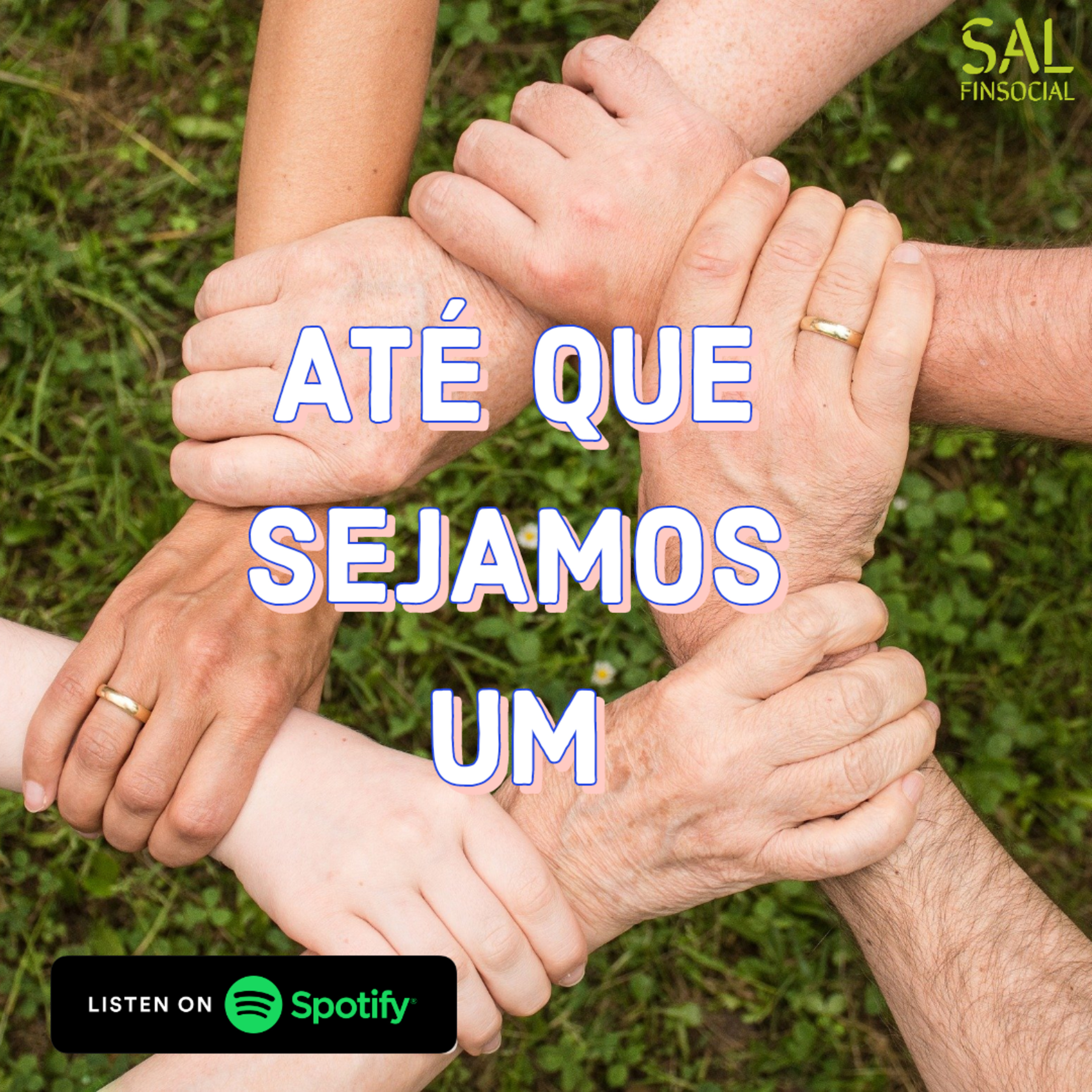 Sal da Terra Finsocial