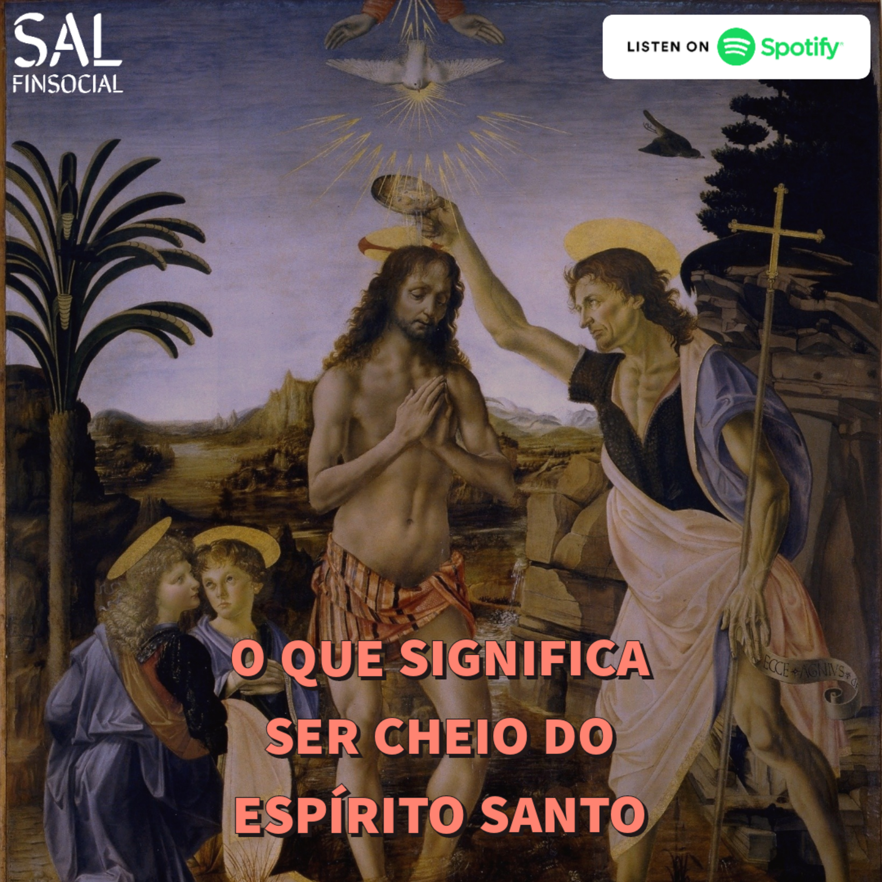Sal da Terra Finsocial