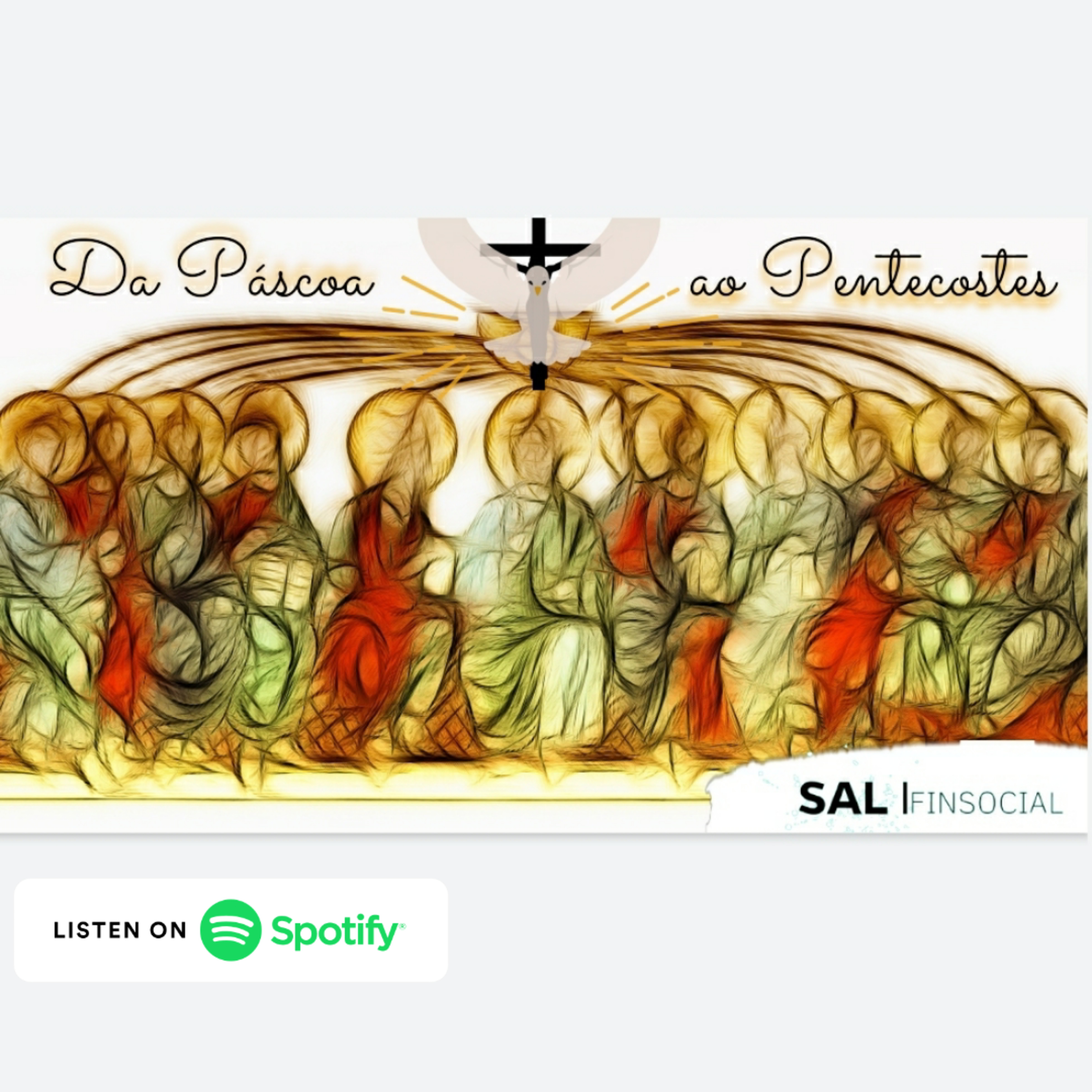 Sal da Terra Finsocial