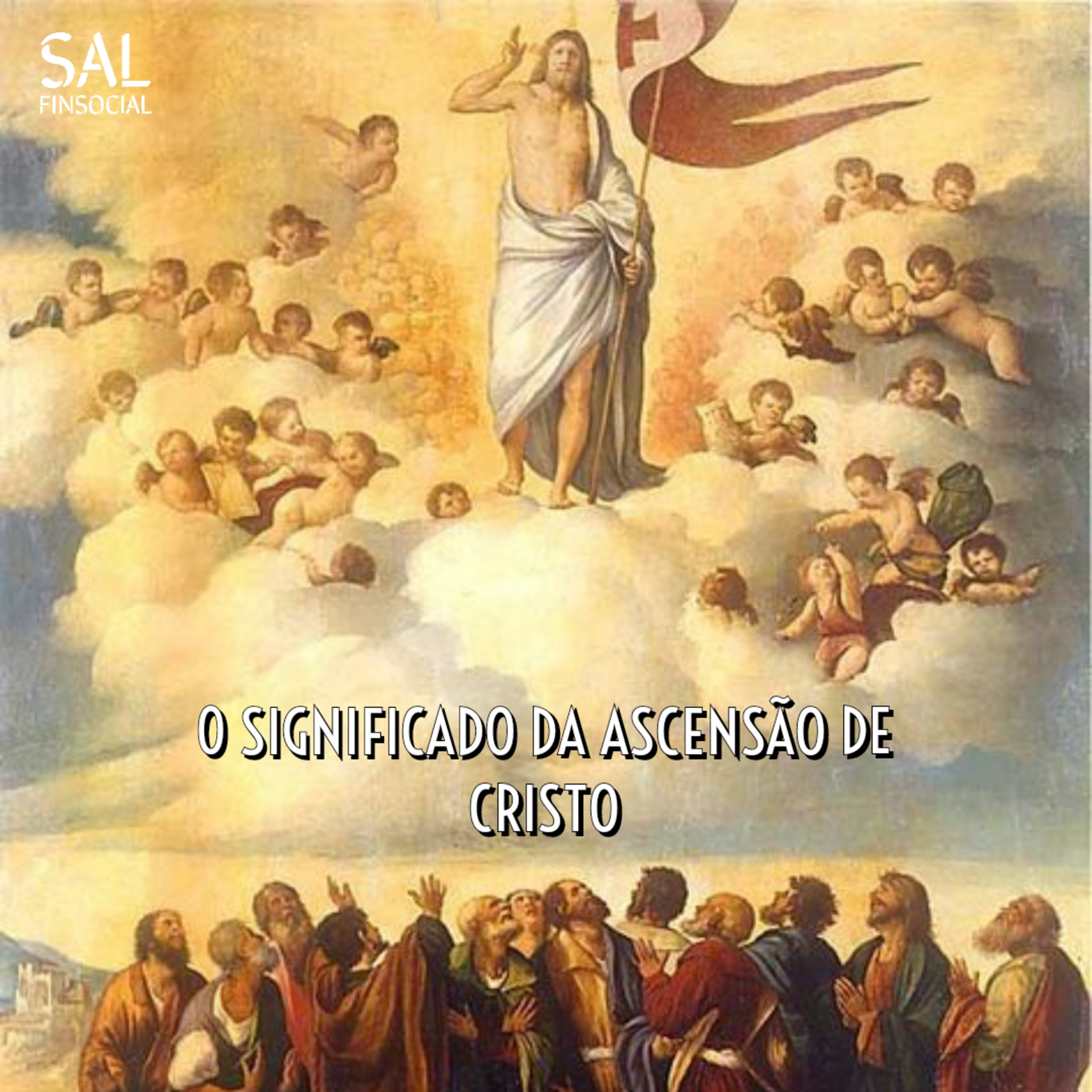Sal da Terra Finsocial