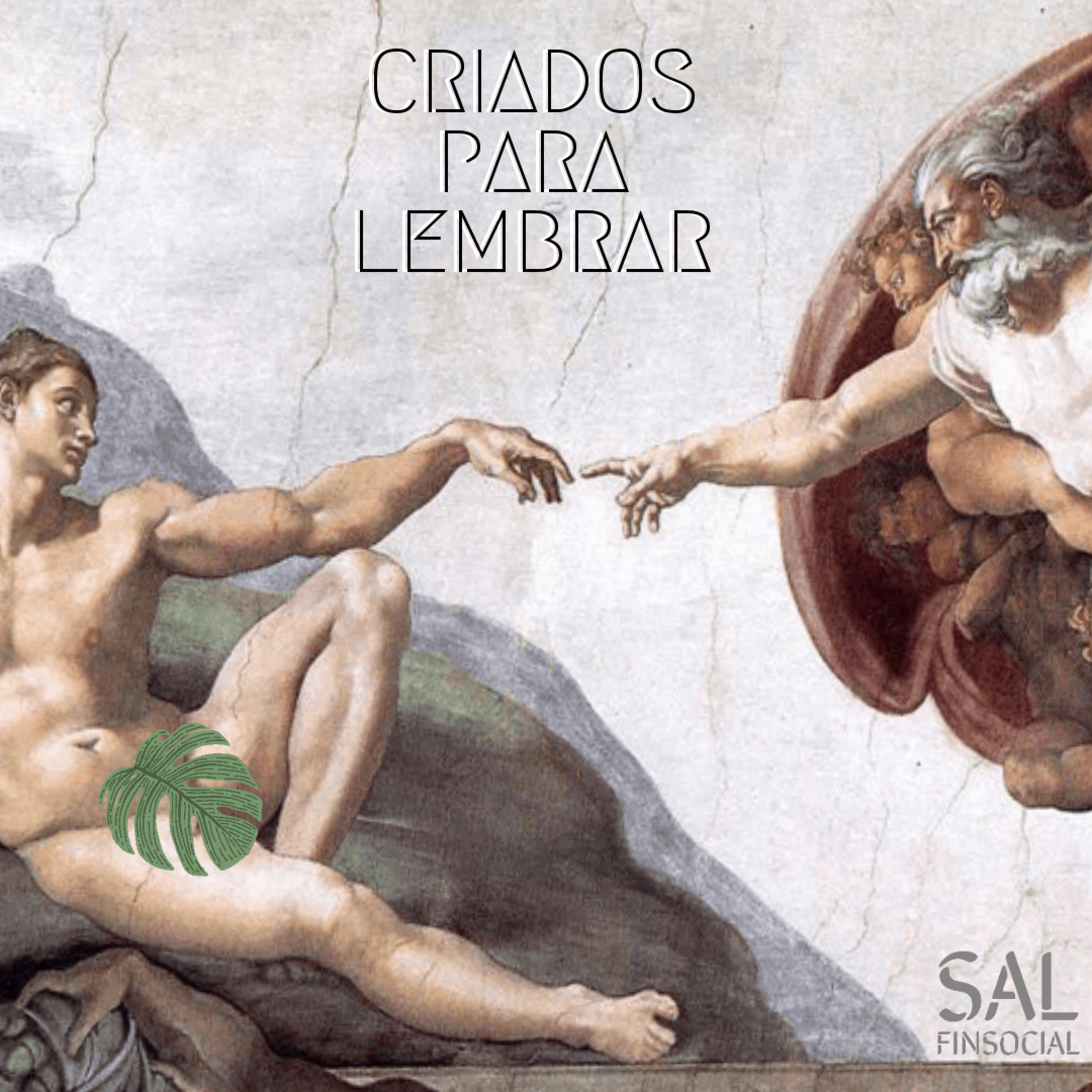 Sal da Terra Finsocial