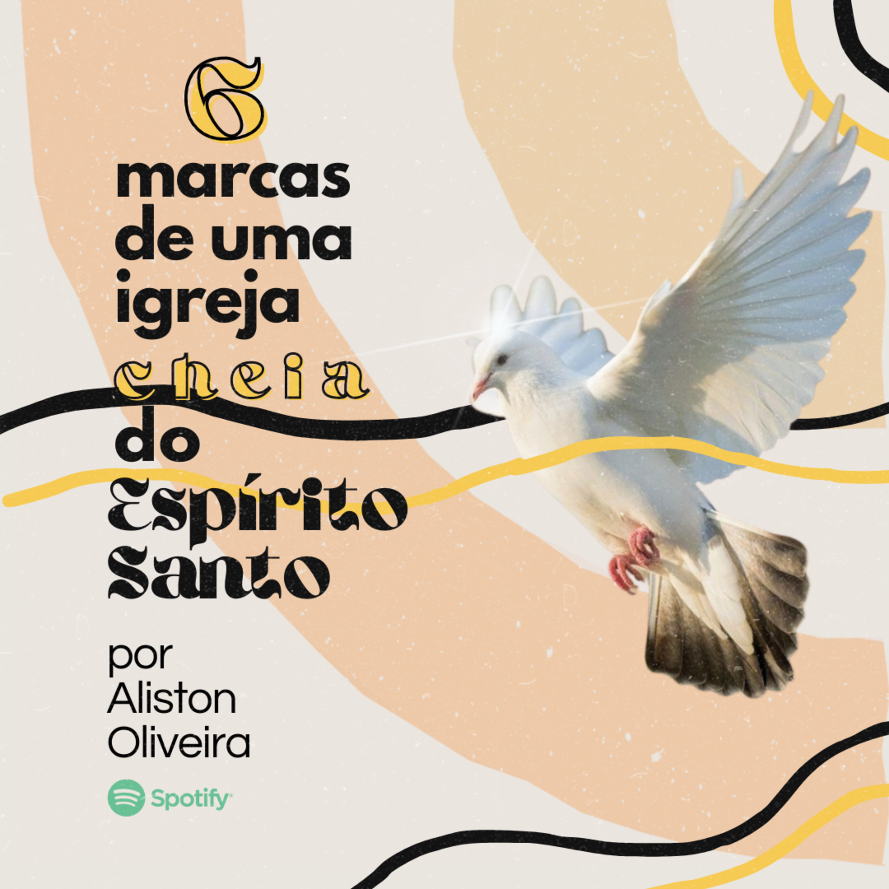 Sal da Terra Finsocial