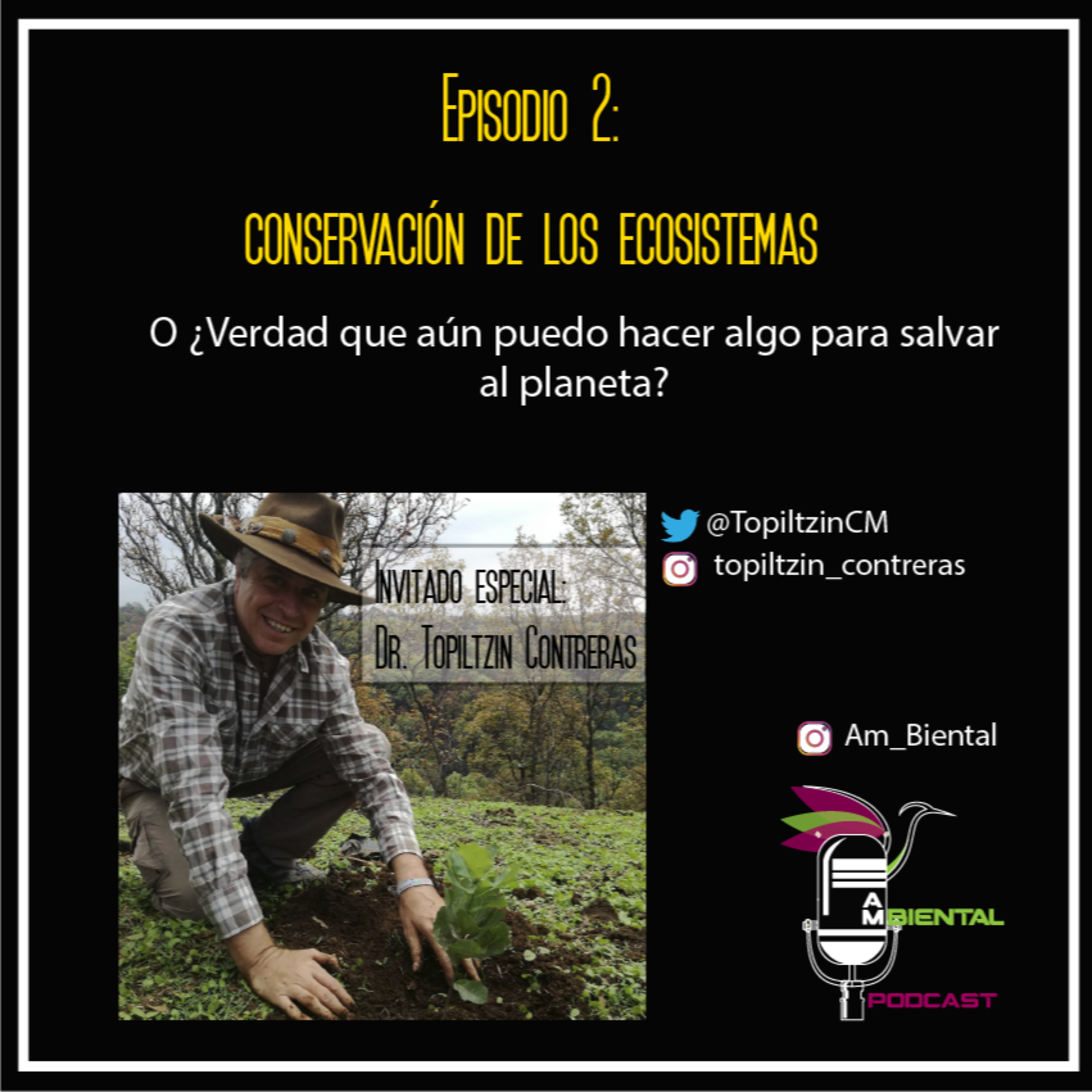 Am Biental Podcast