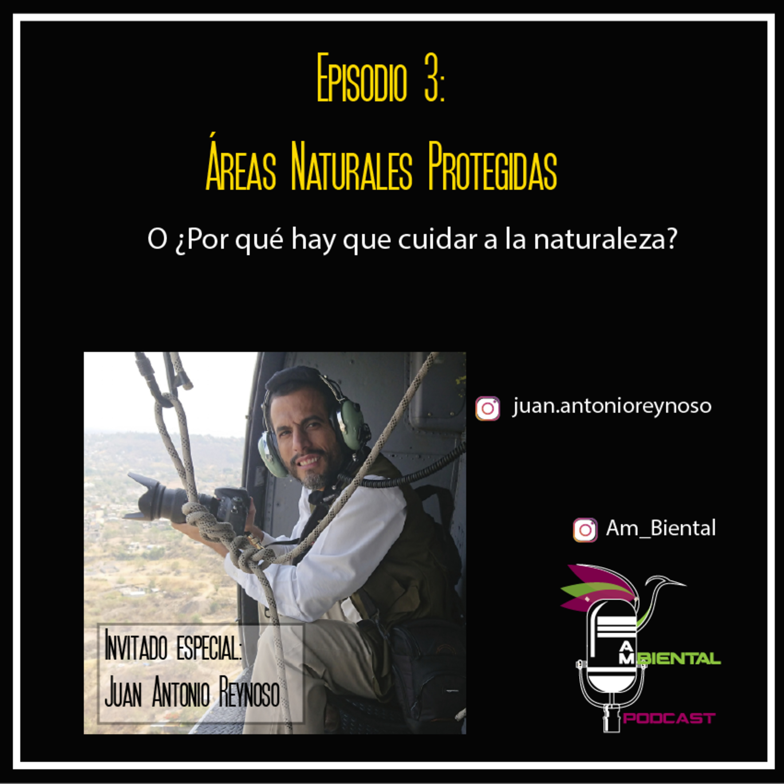 Am Biental Podcast