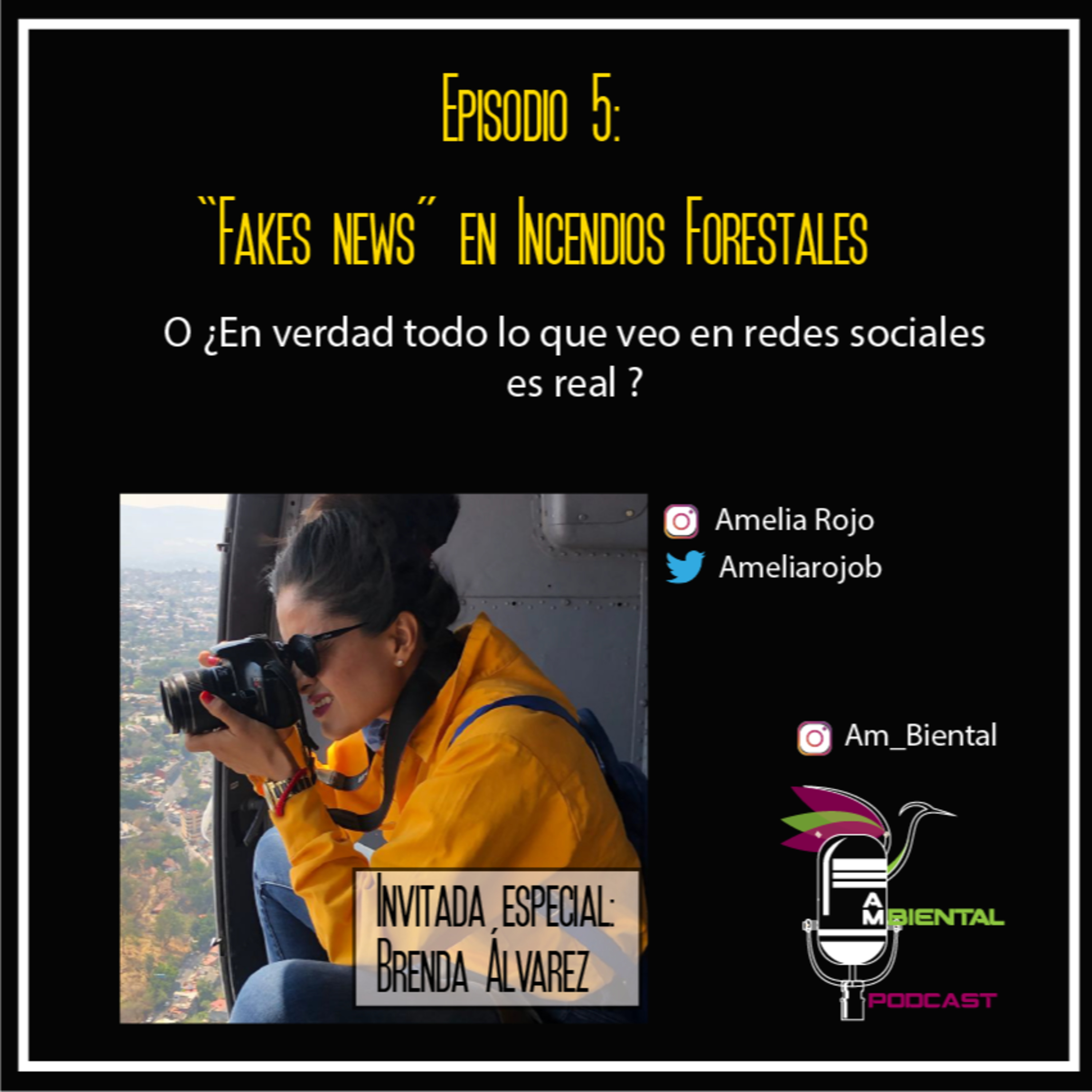 Am Biental Podcast