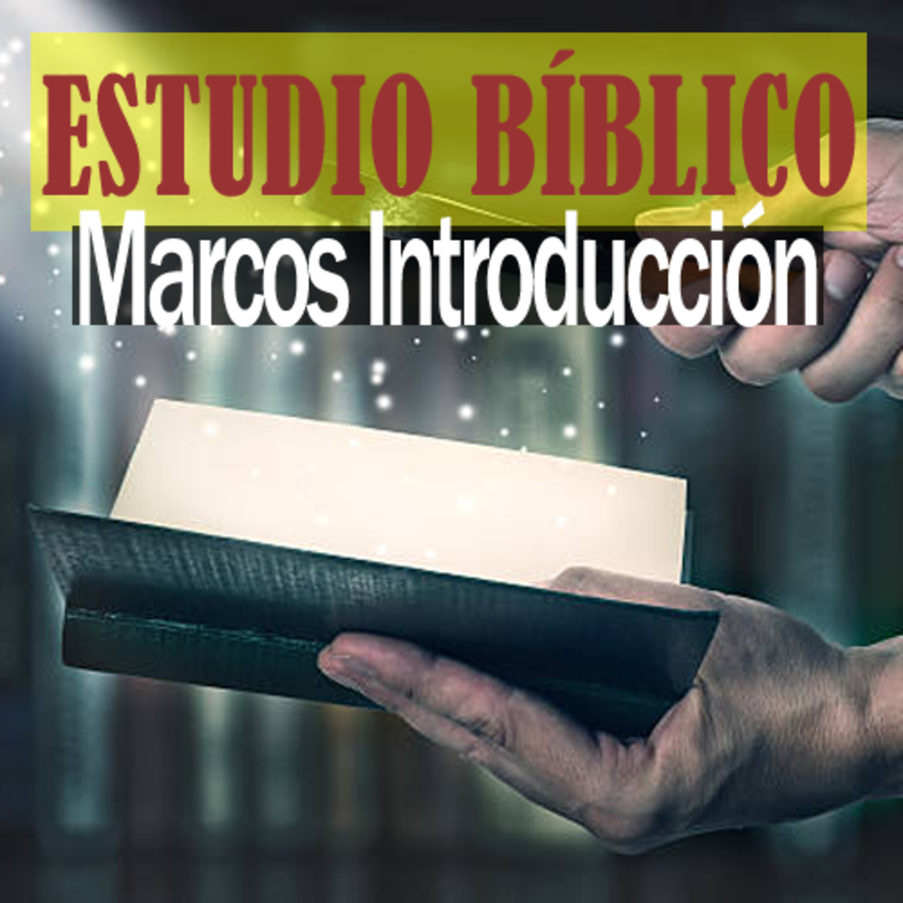 La Biblia Expositiva