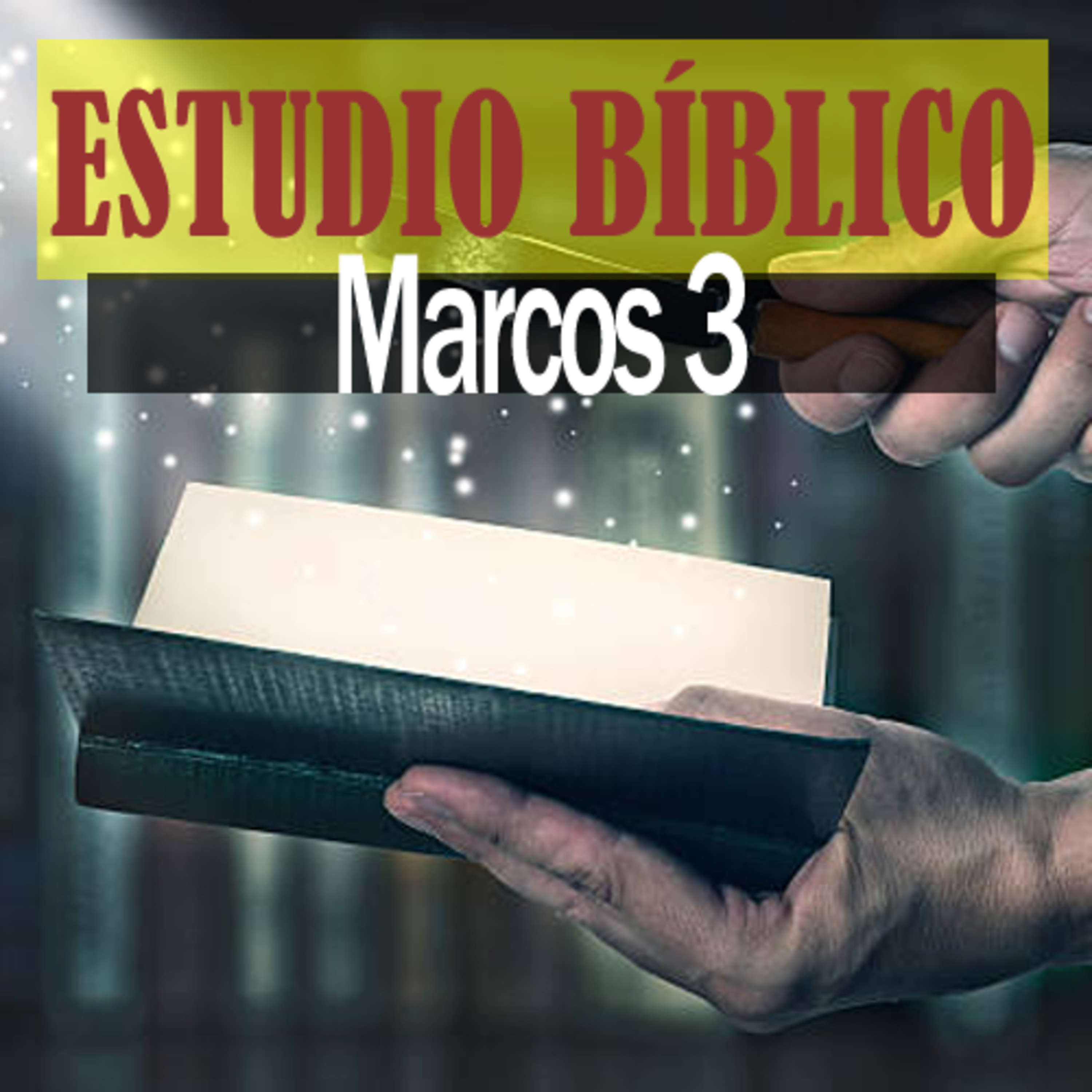 La Biblia Expositiva
