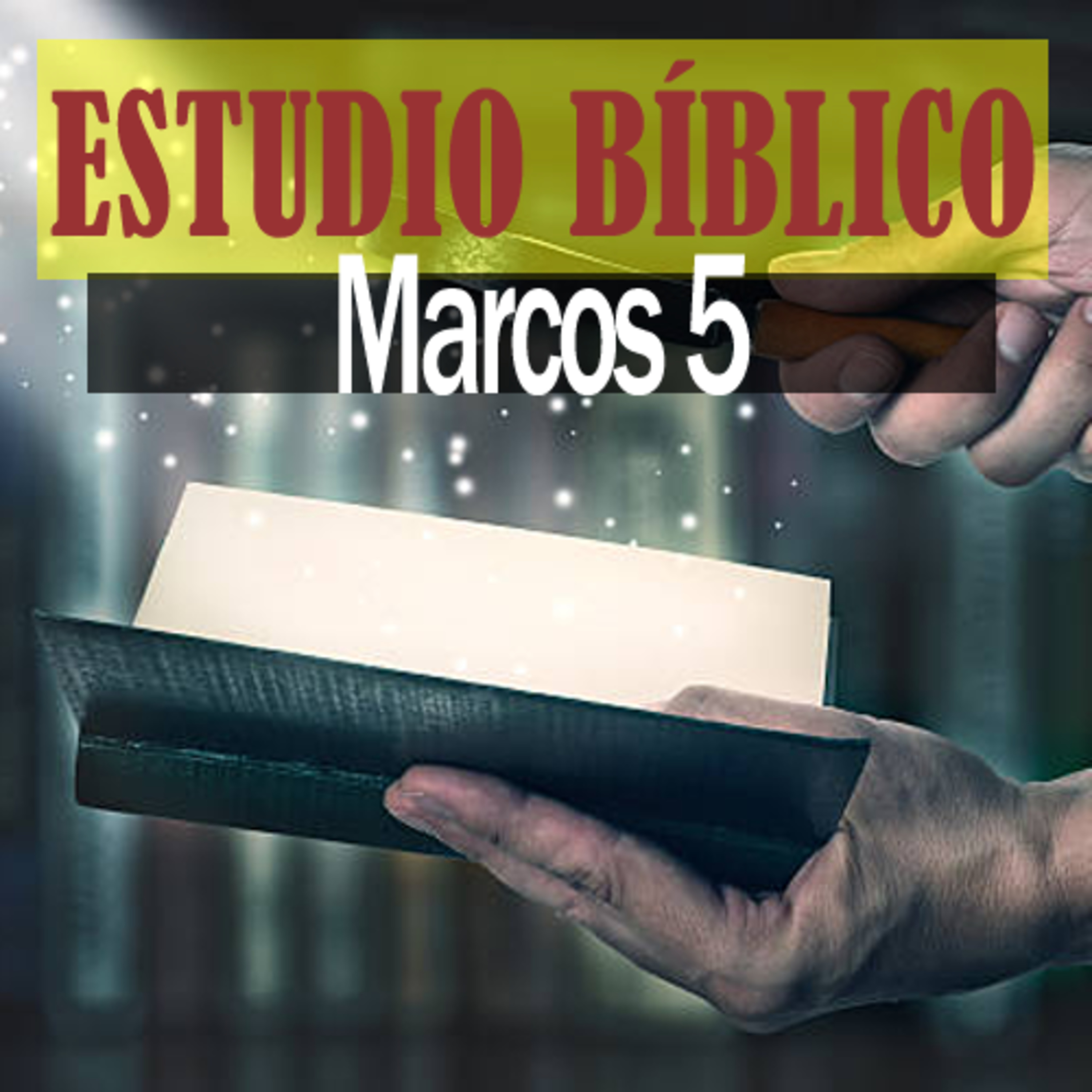 La Biblia Expositiva