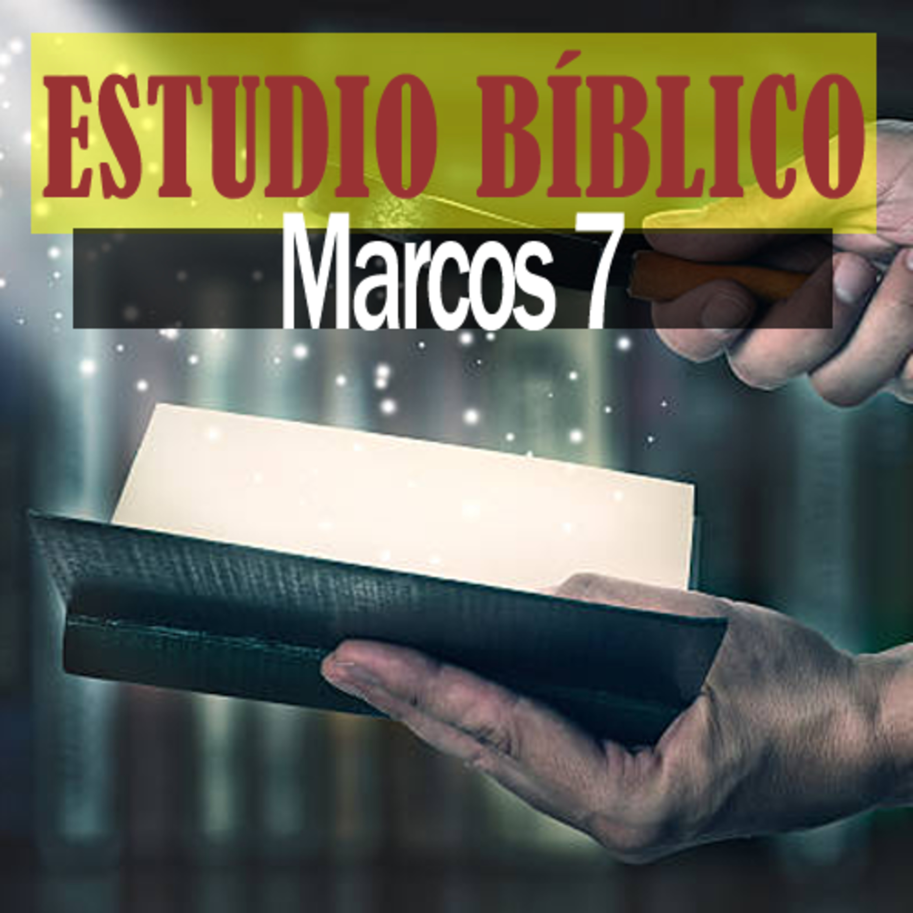 La Biblia Expositiva