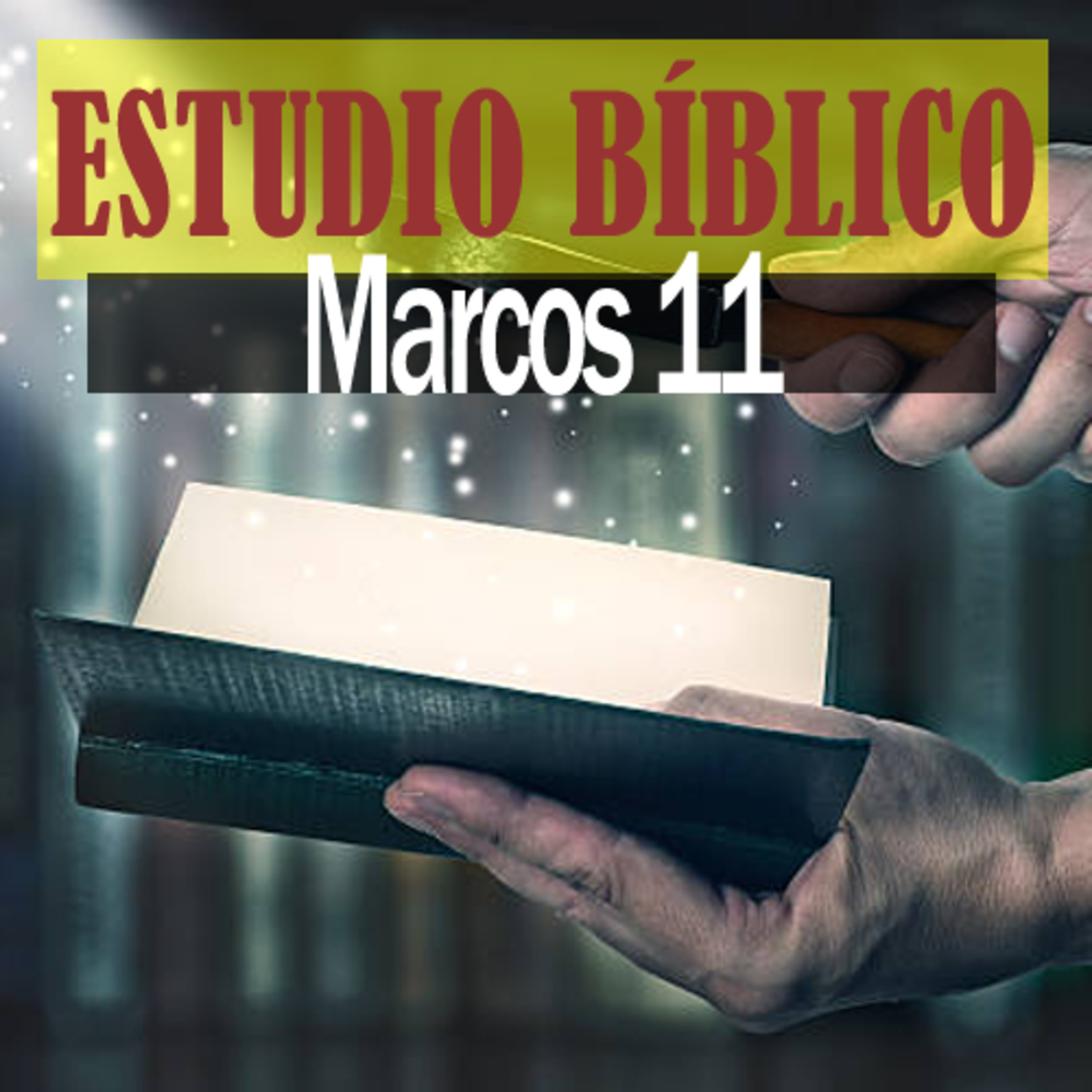 La Biblia Expositiva