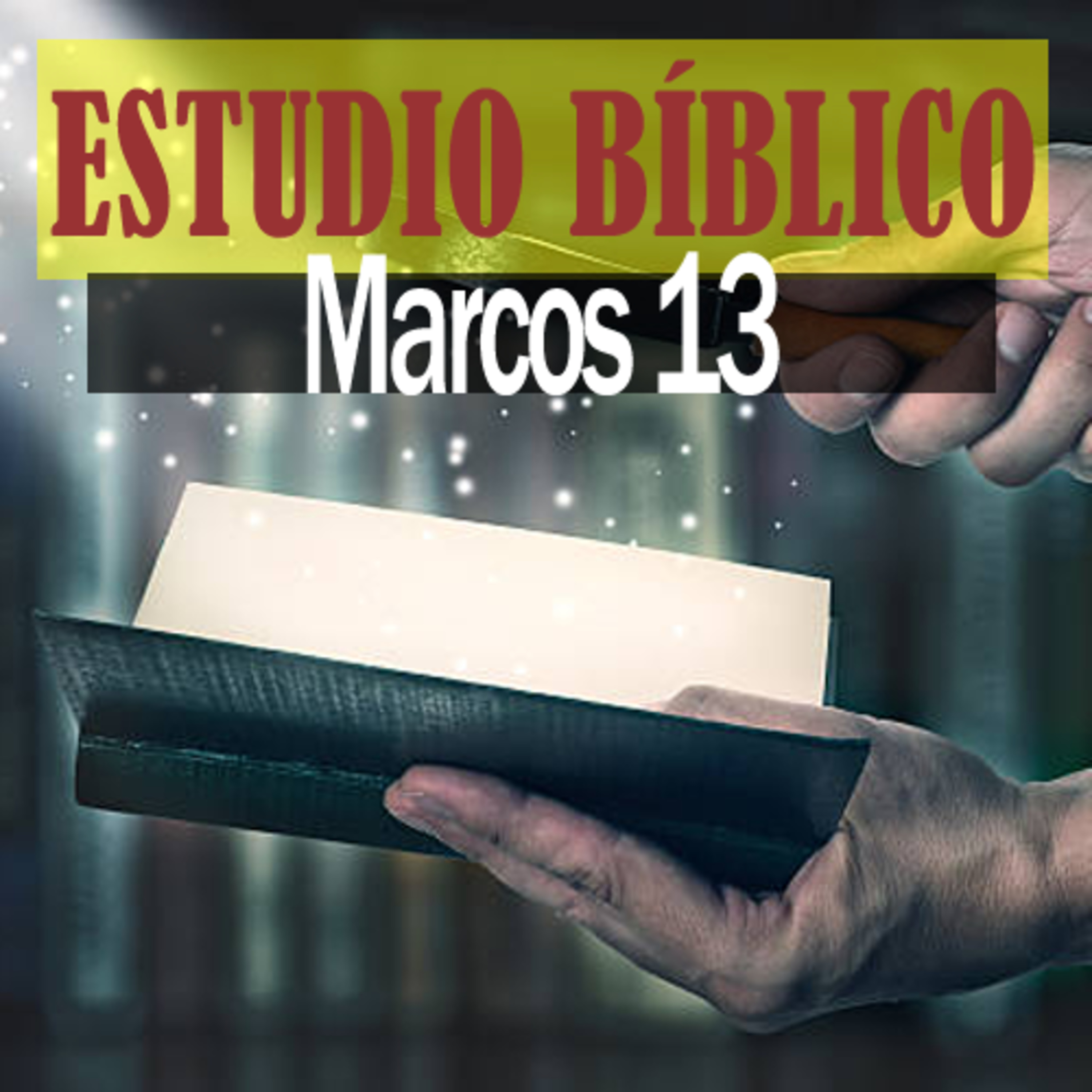La Biblia Expositiva