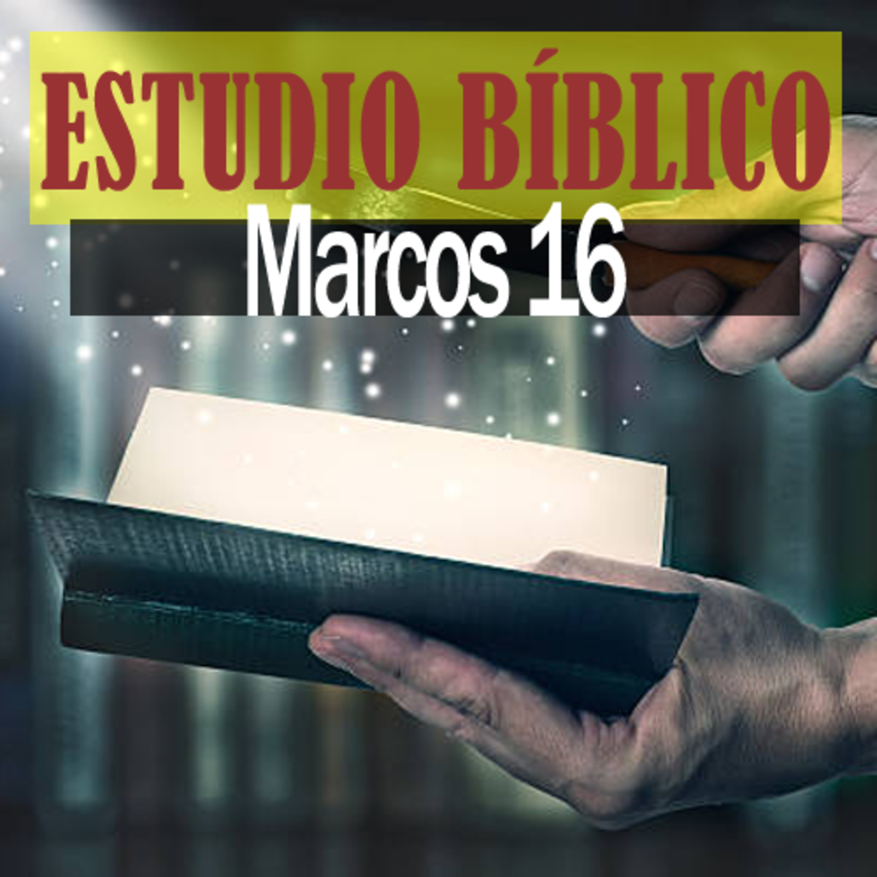 La Biblia Expositiva