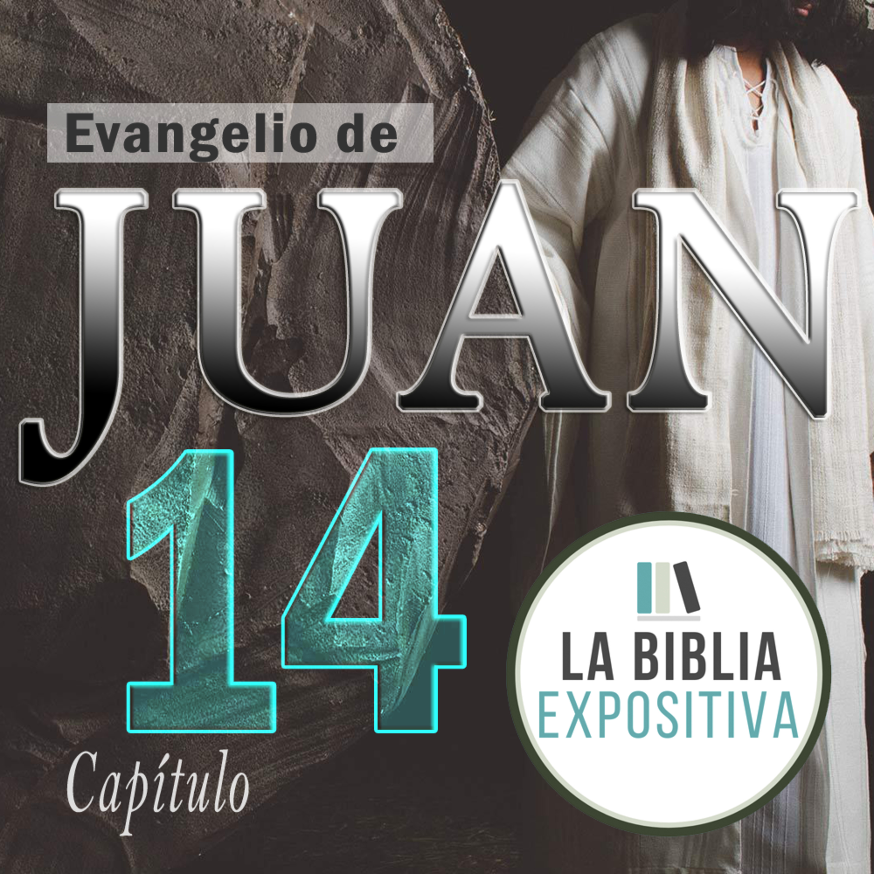 Portada de La Biblia Expositiva
