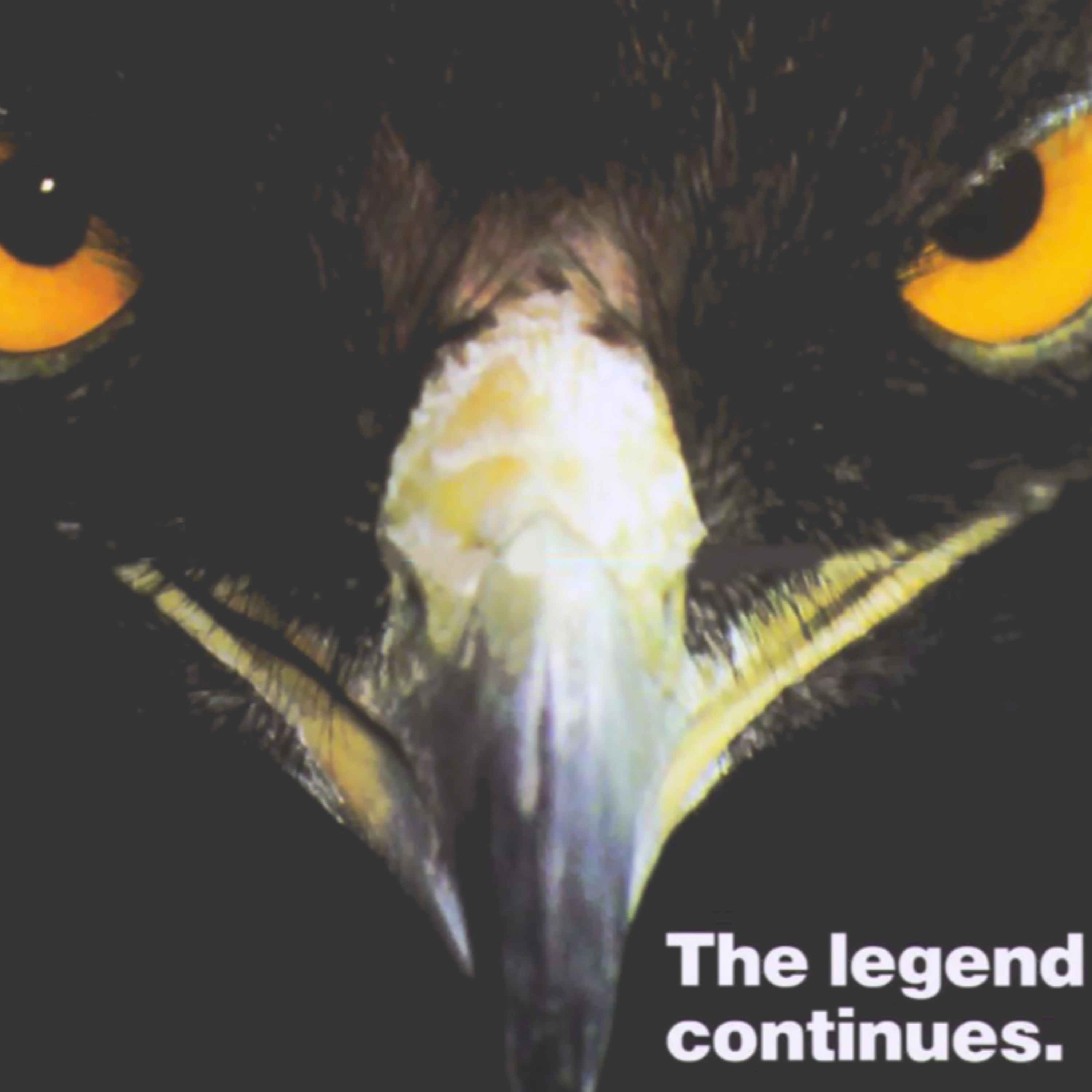 MiSTer FPGA Stage Events