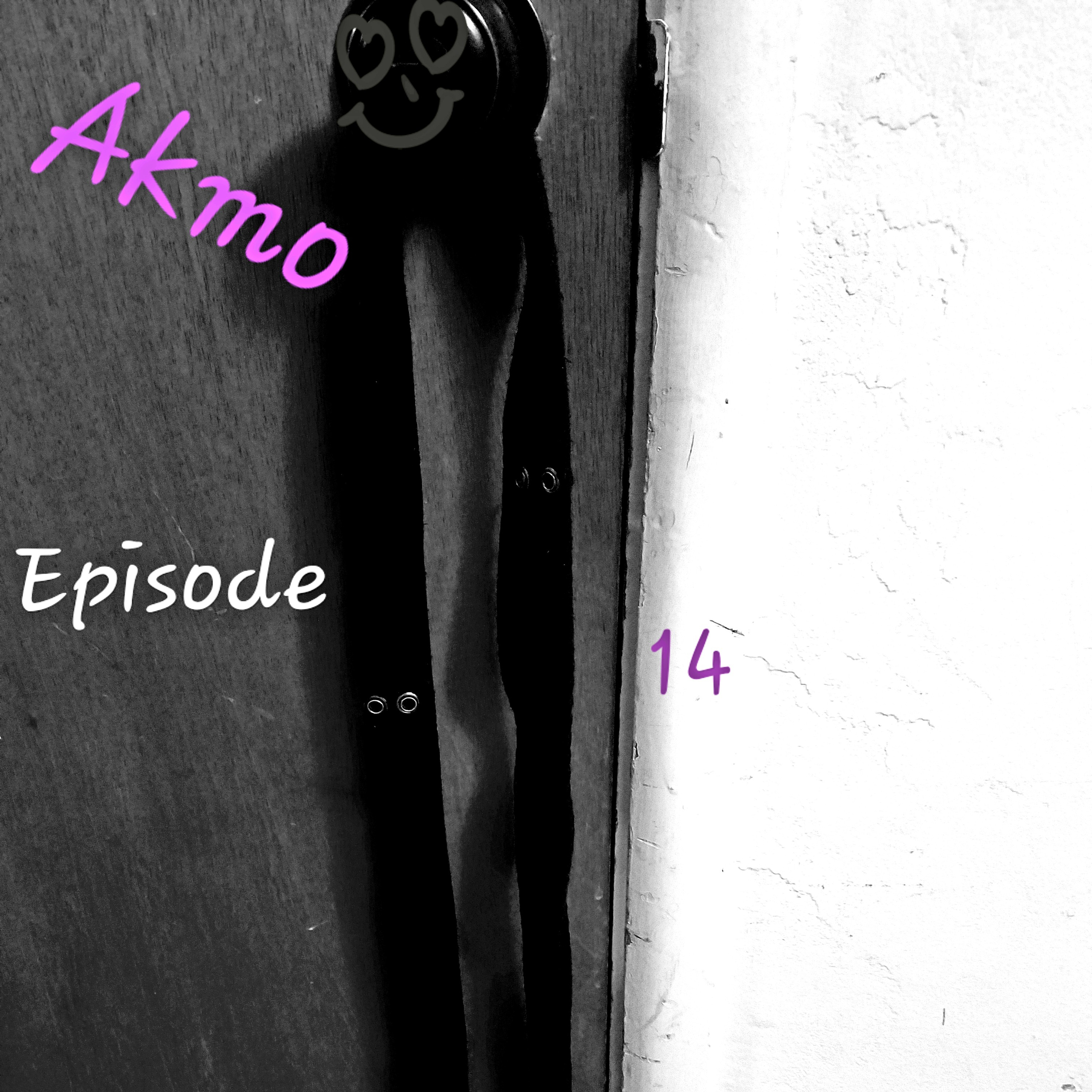 No Bleeps 14- Akmo episode artwork