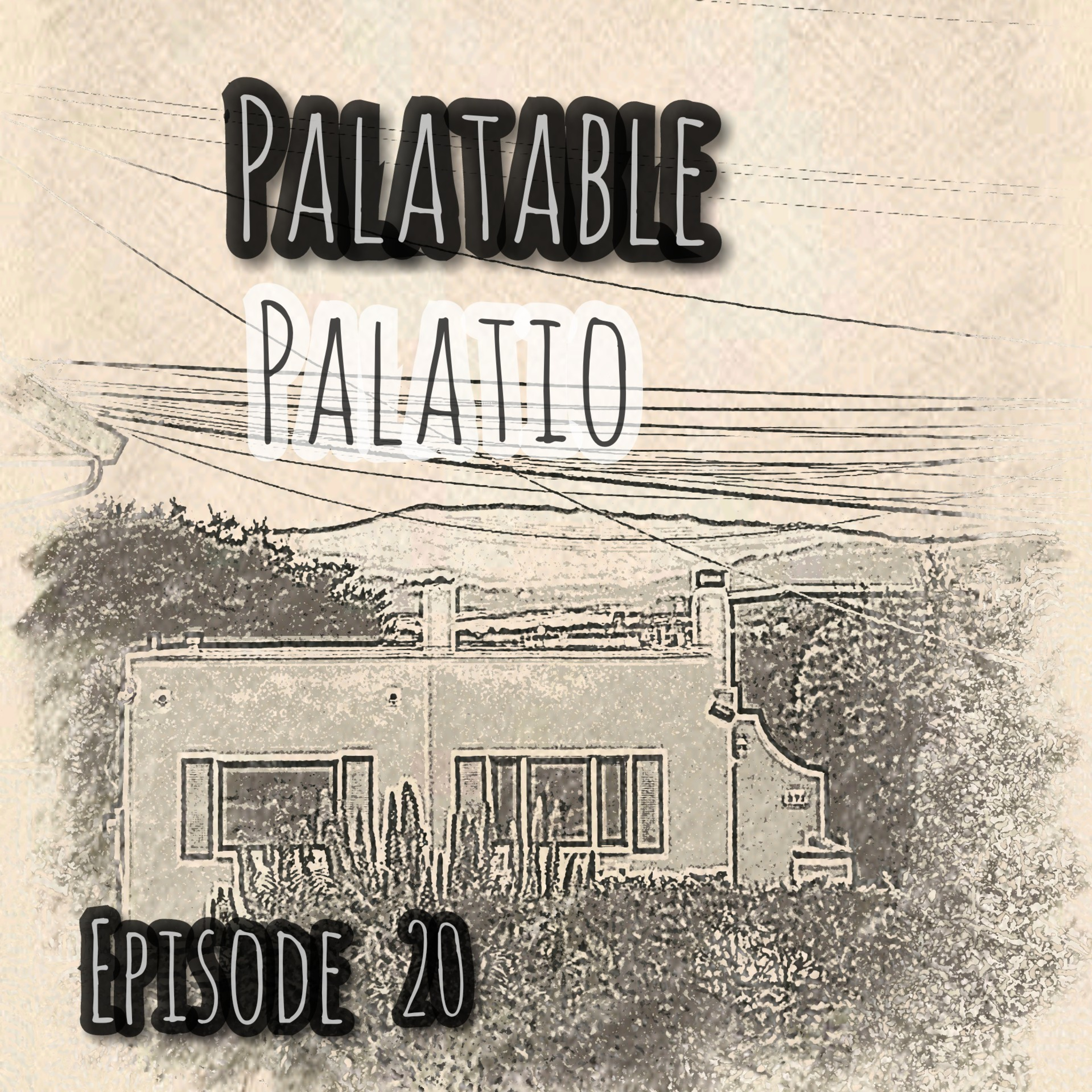 No Bleeps 20- Palatable Palatio episode artwork