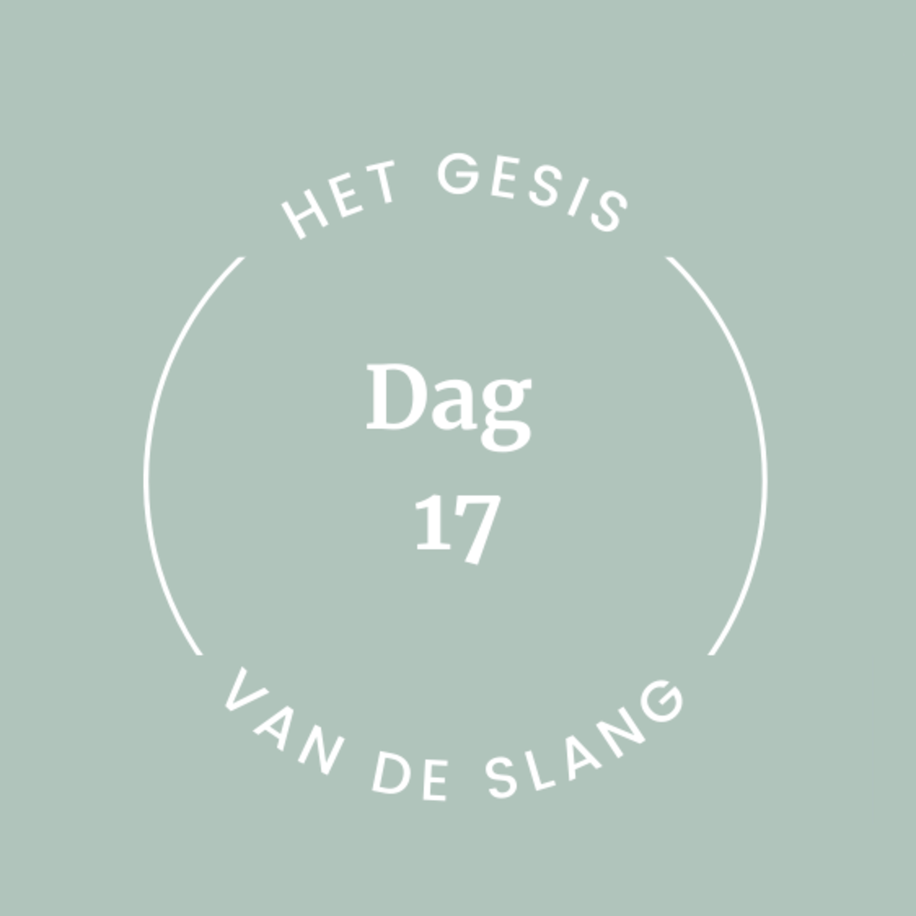 Dag 17  episode artwork