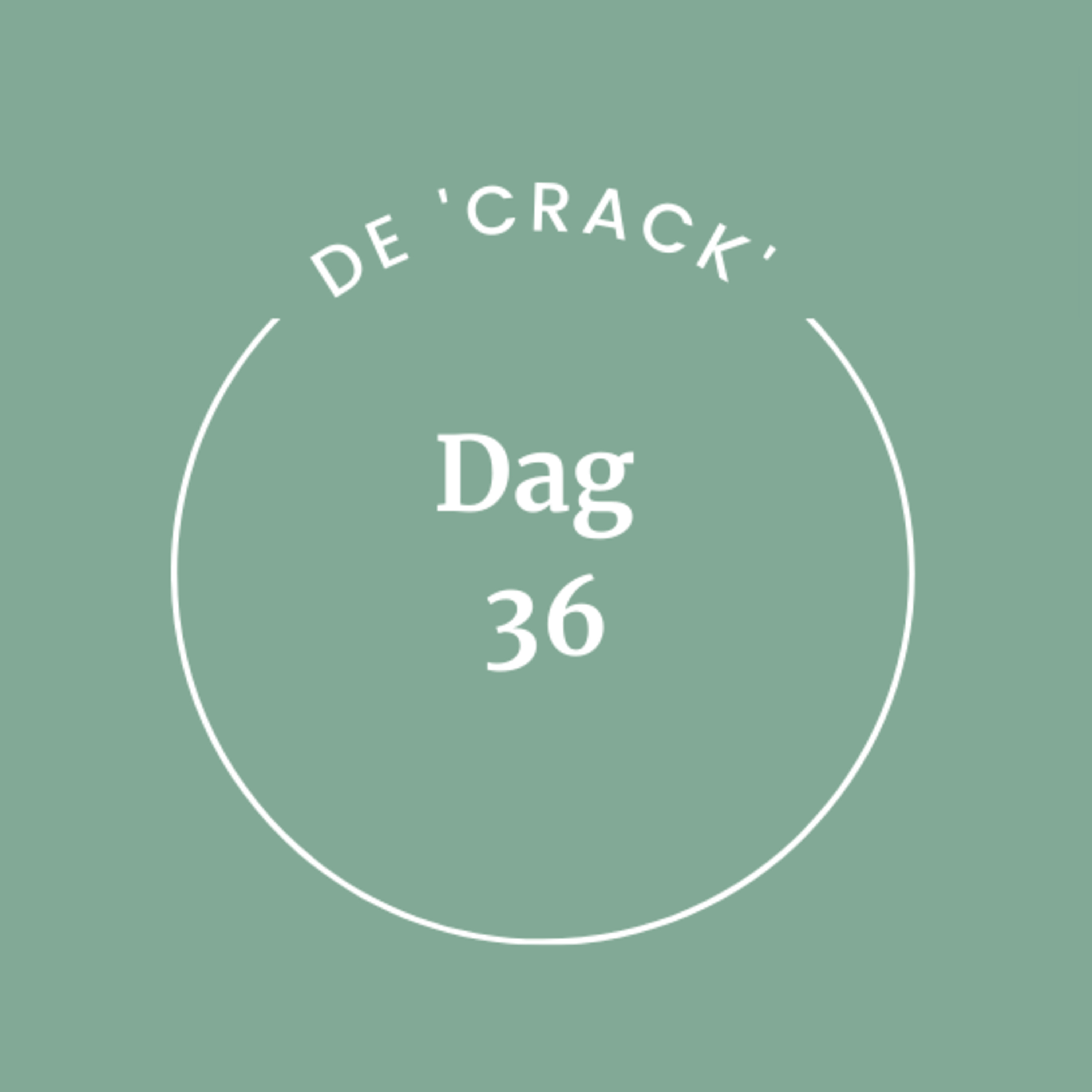 Dag 36  episode artwork