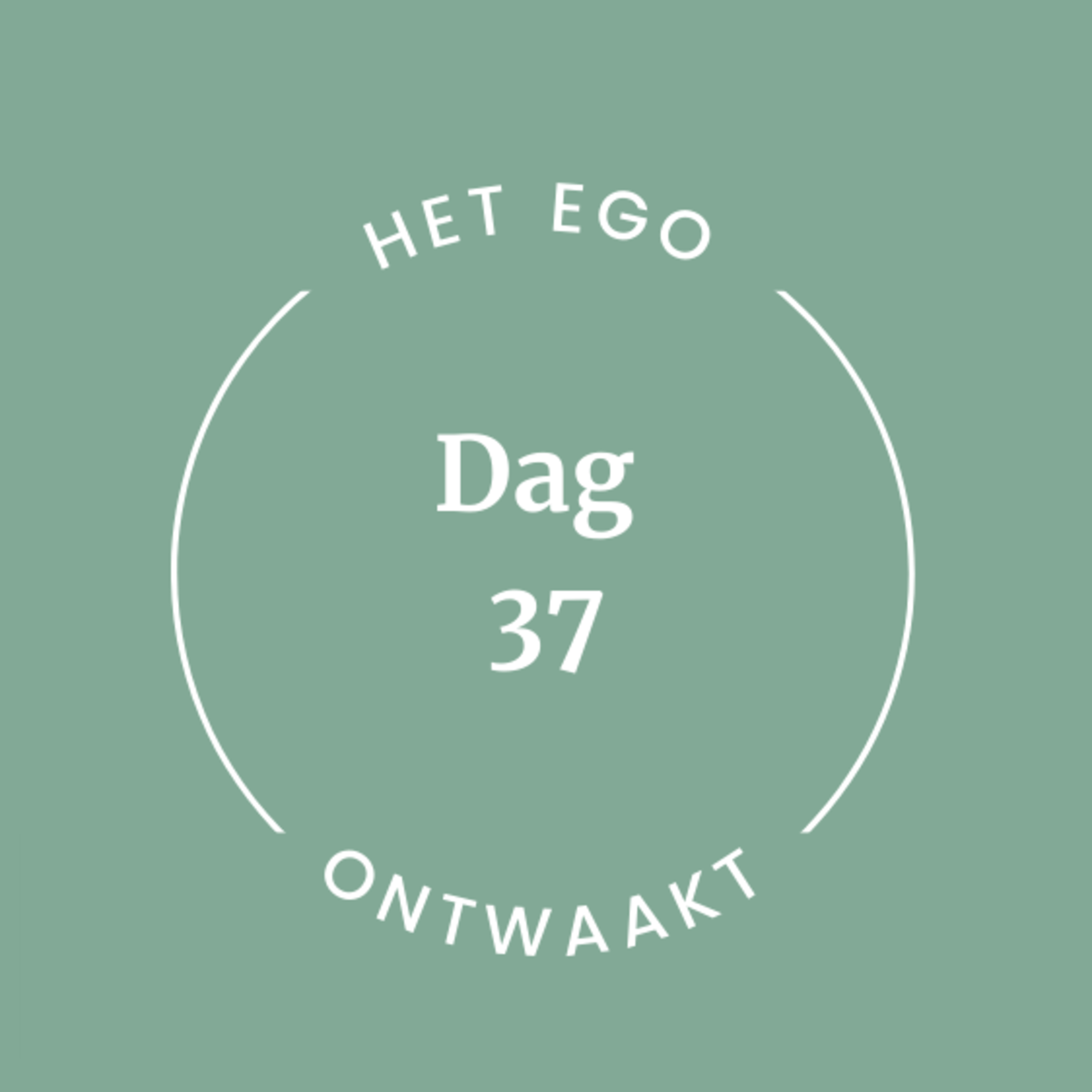 Dag 37  episode artwork