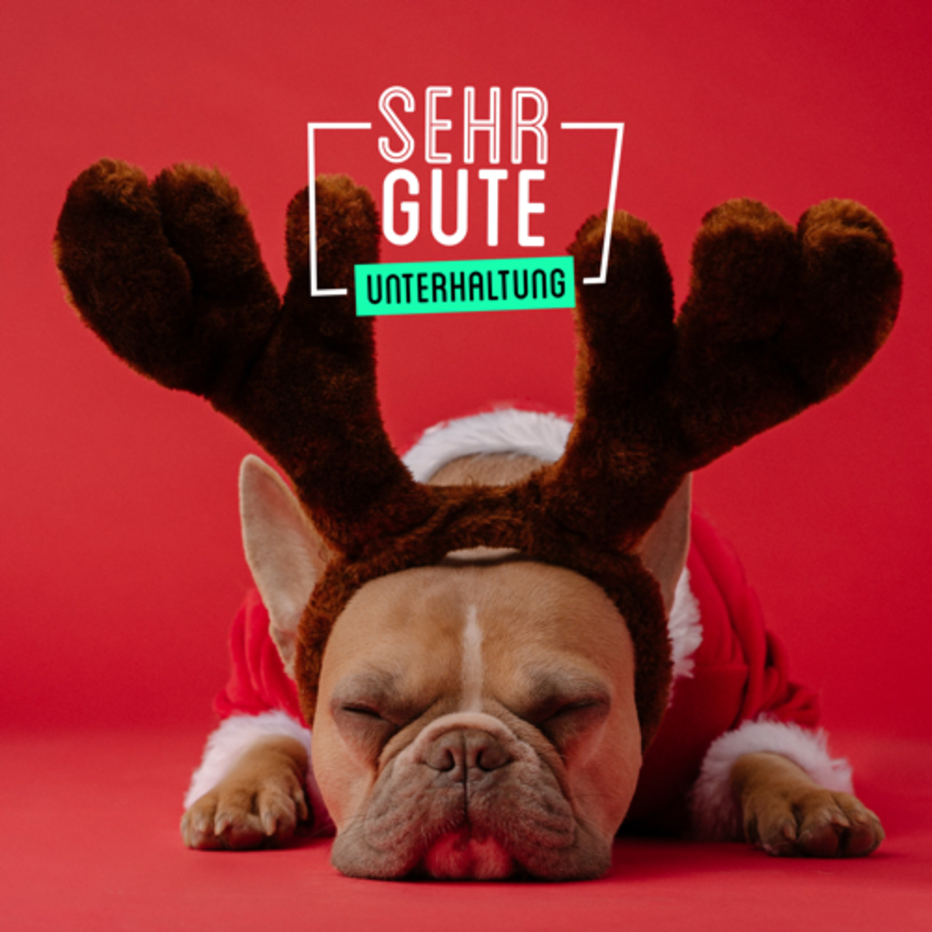 SEHR GUTE UNTERHALTUNG