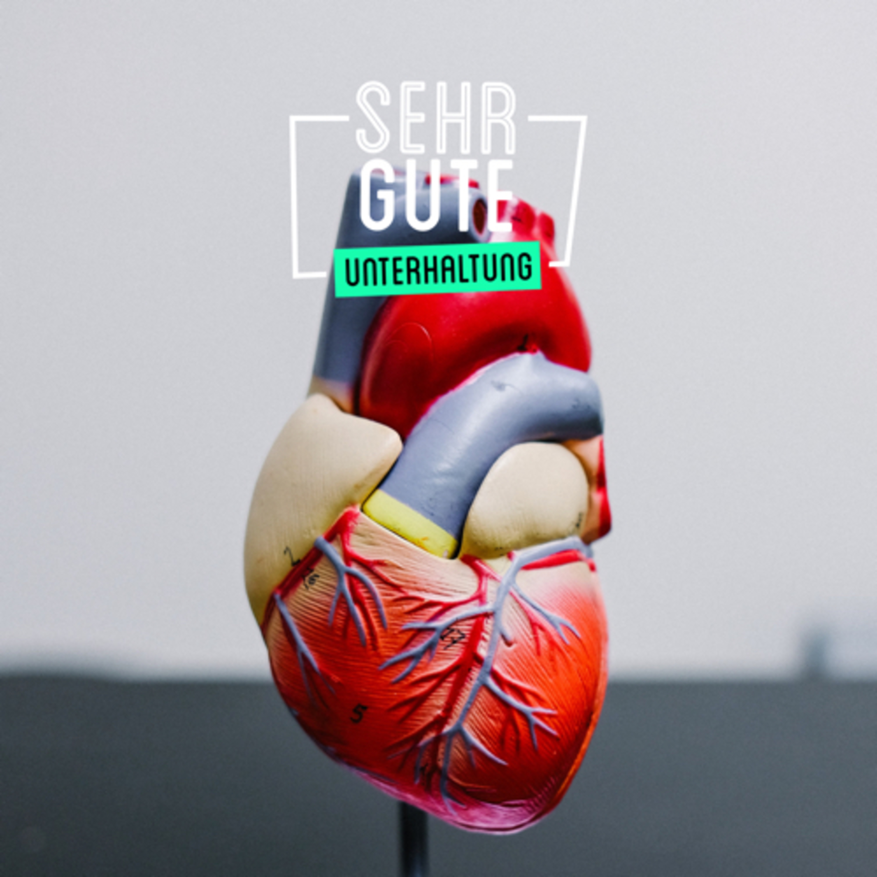 SEHR GUTE UNTERHALTUNG
