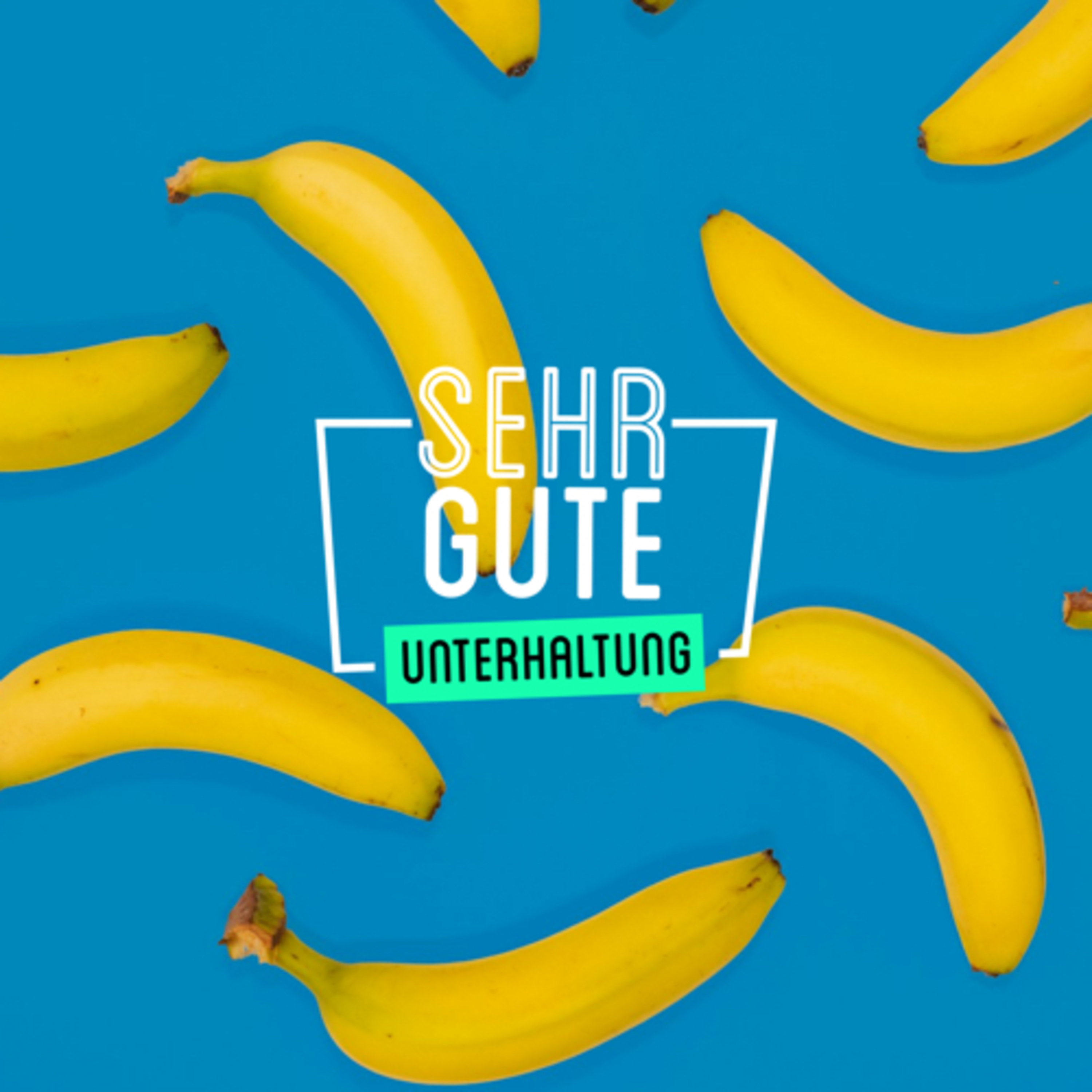 SEHR GUTE UNTERHALTUNG
