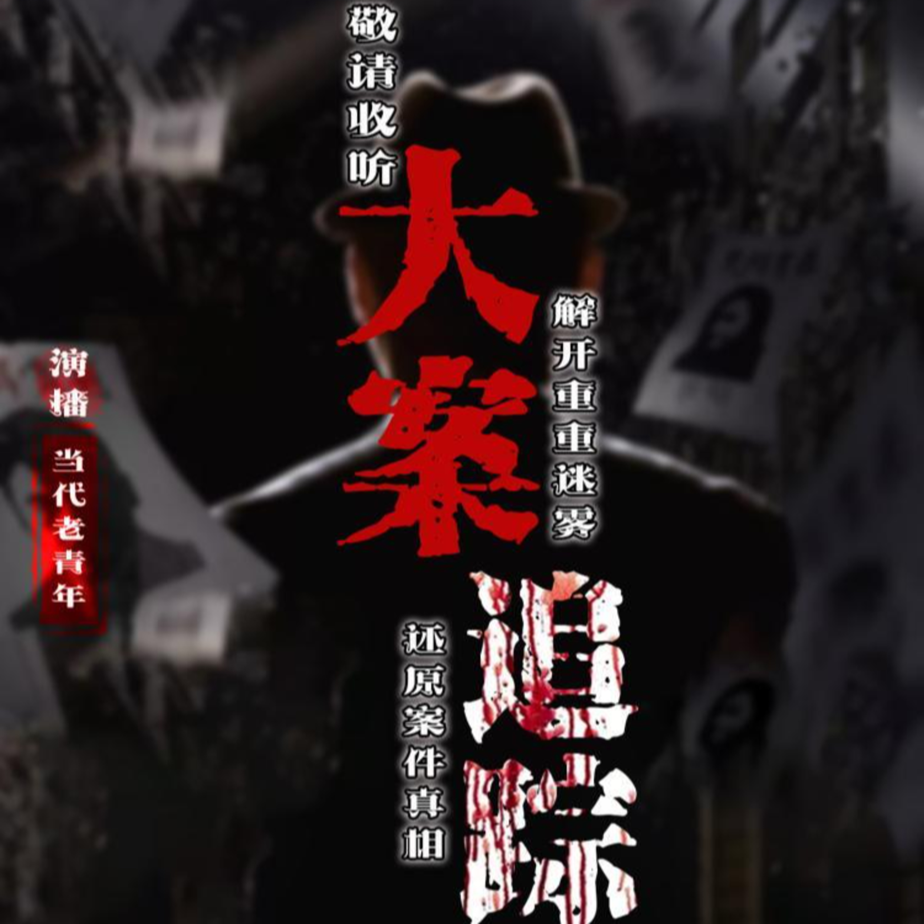 cover of episode [大案記實錄] 96河北連環殺人案件