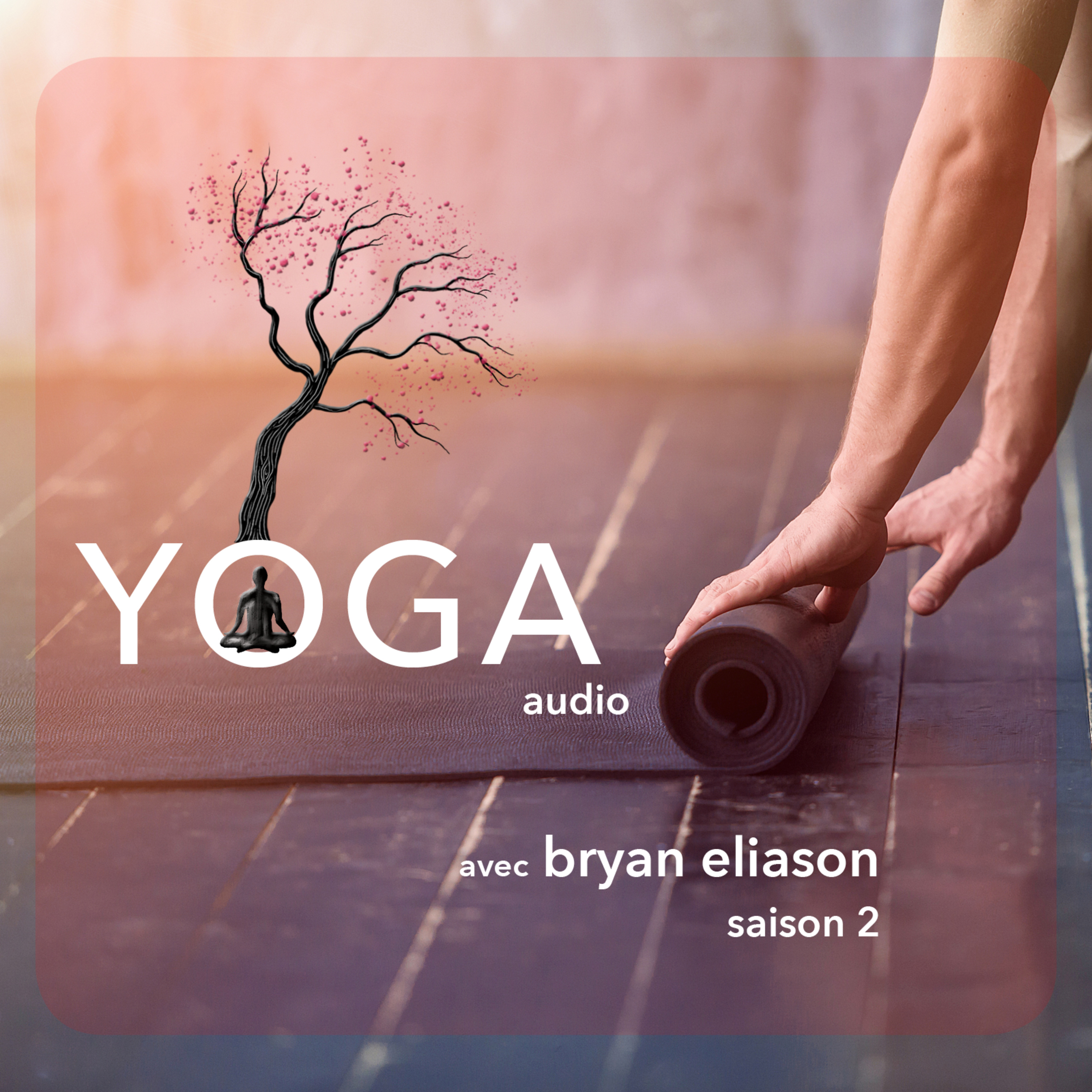 S2 SEANCE 12 // Dhanurasana