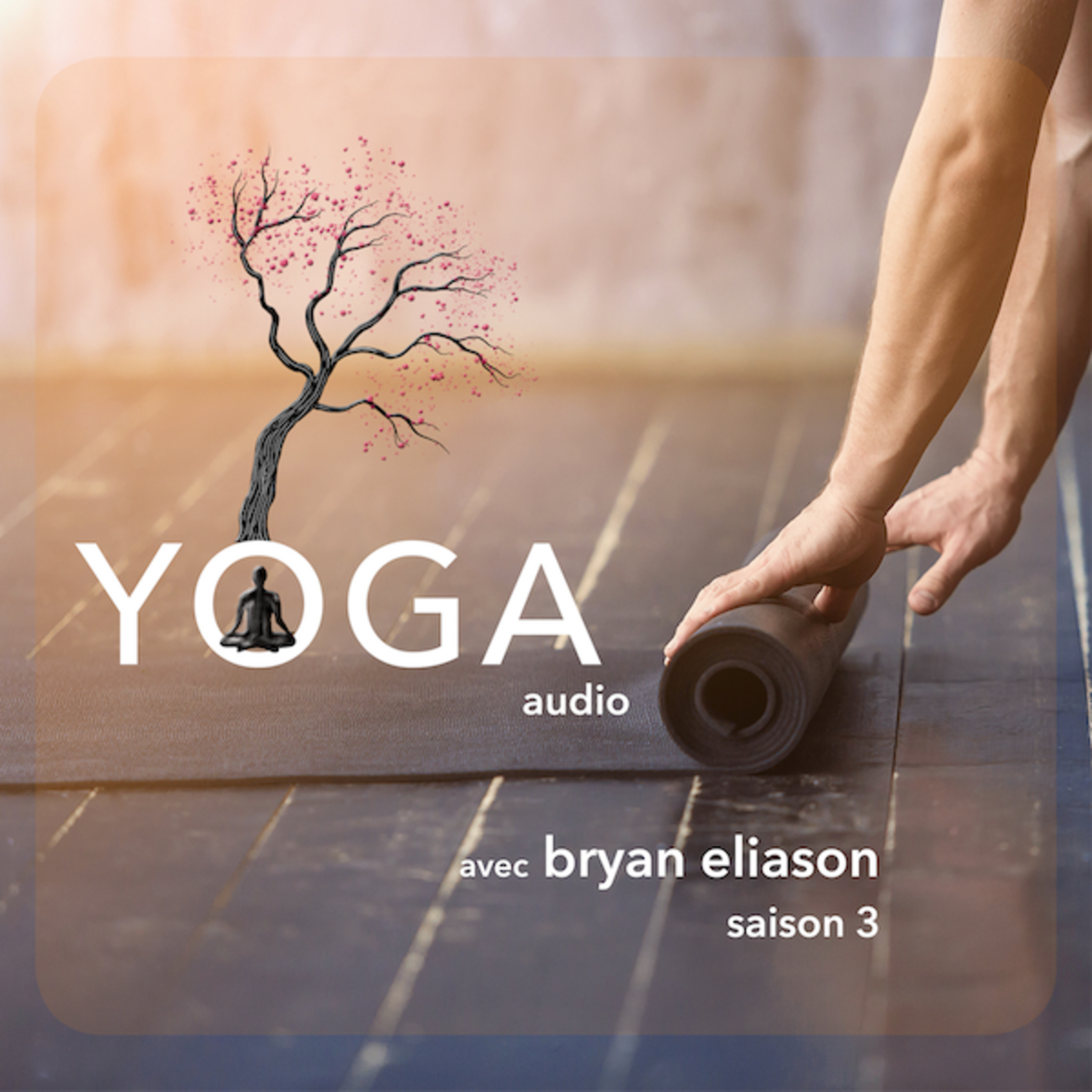 S3 SEANCE 2 // Adhomukha svânâsana