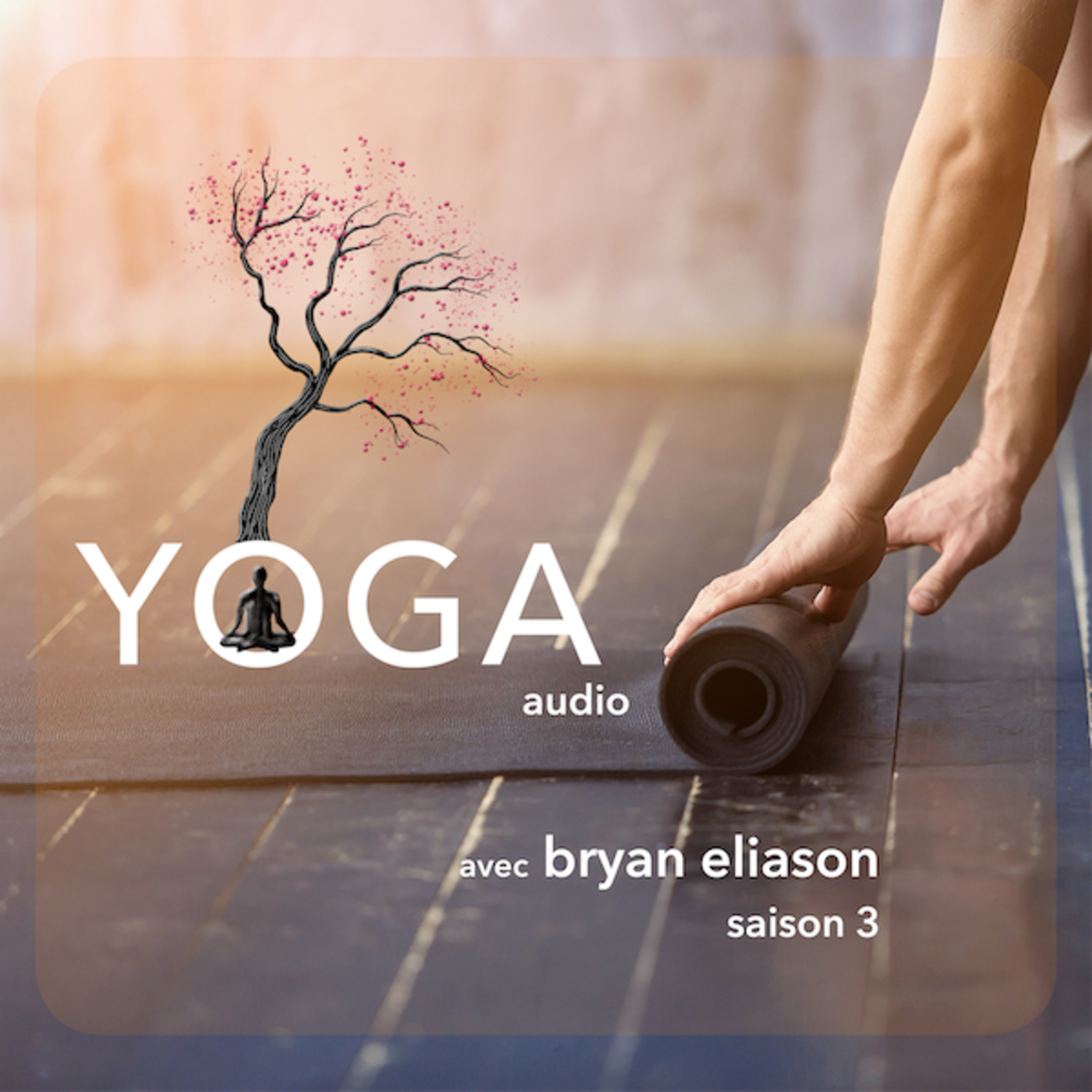 S3 SEANCE 3 // Parsva dhânurâsana