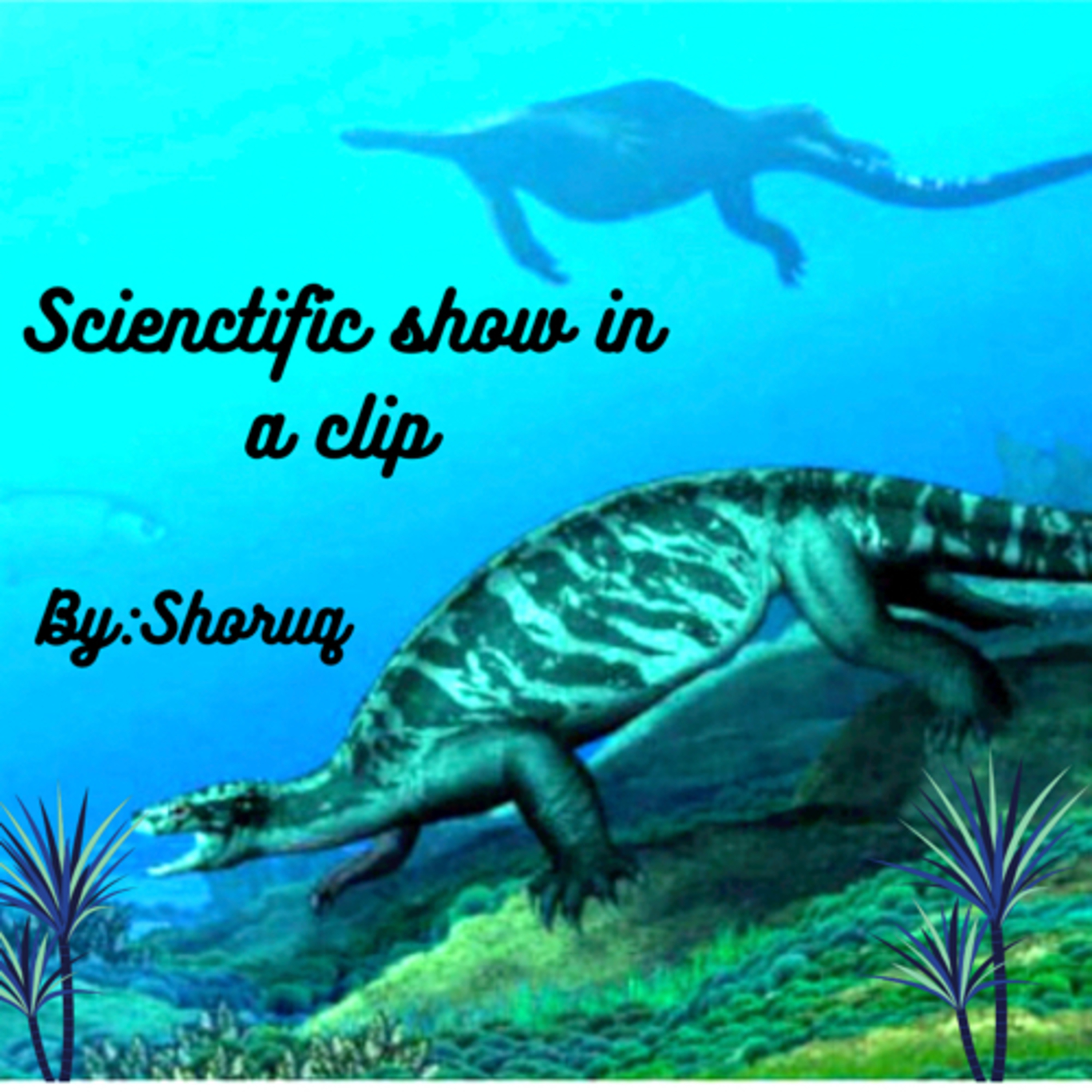 Scientific Show In A clip-Where Turtles Came From!
