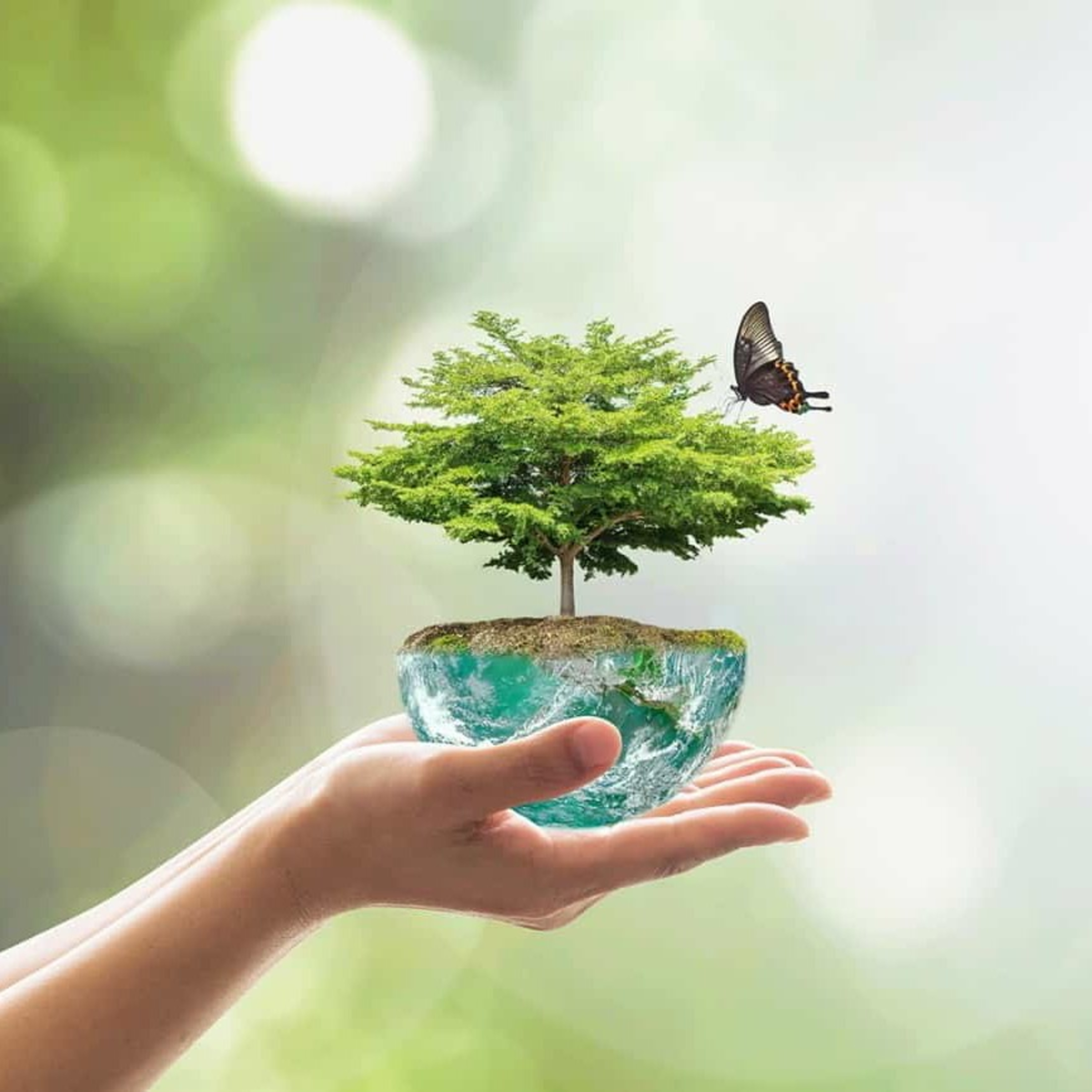 MEIO AMBIENTE E A SUA LIGAÇÃO COM OS SERES HUMANOS! 🌳🌾🌱