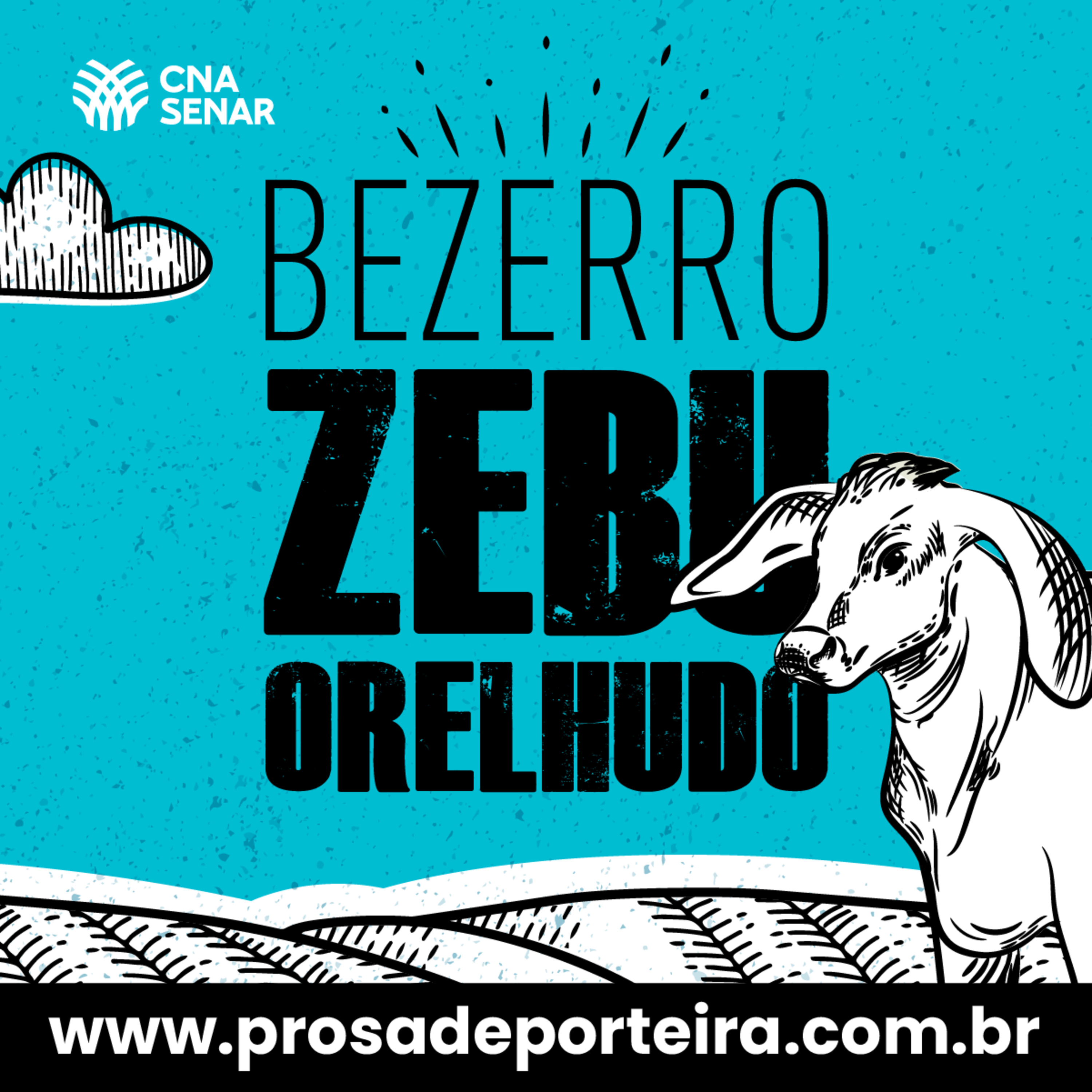Prosa de Porteira