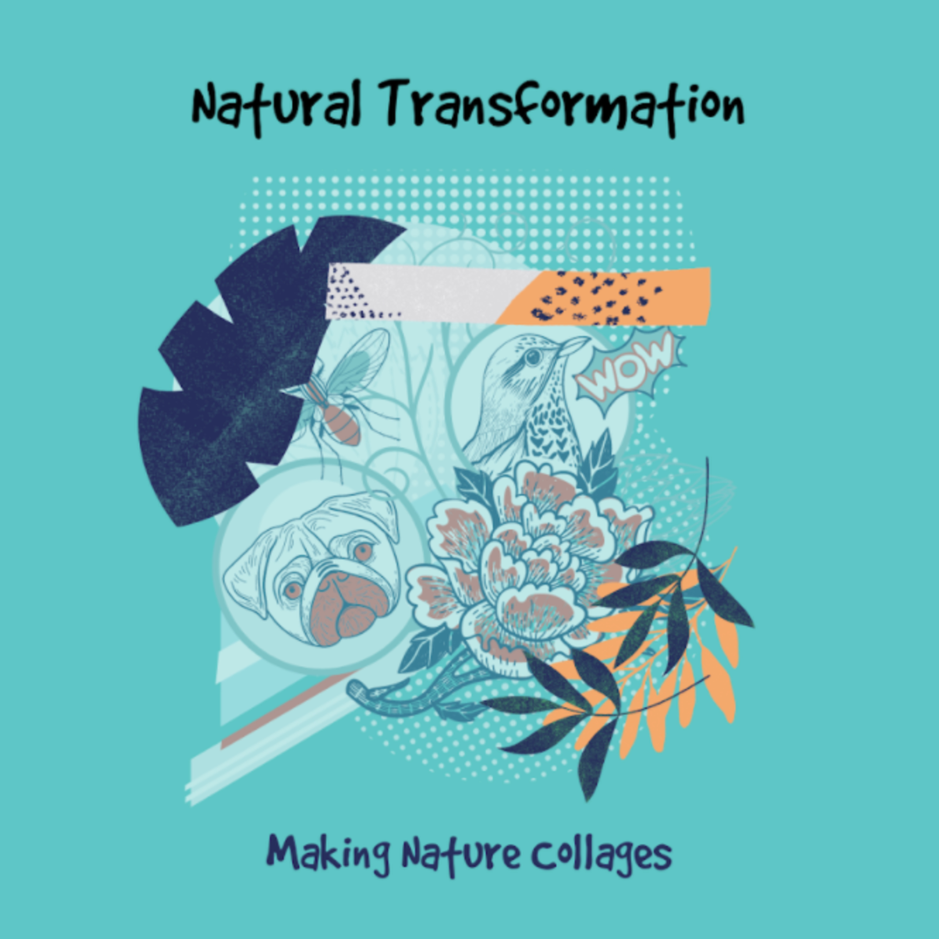 UVMThriveGuide Podcasts