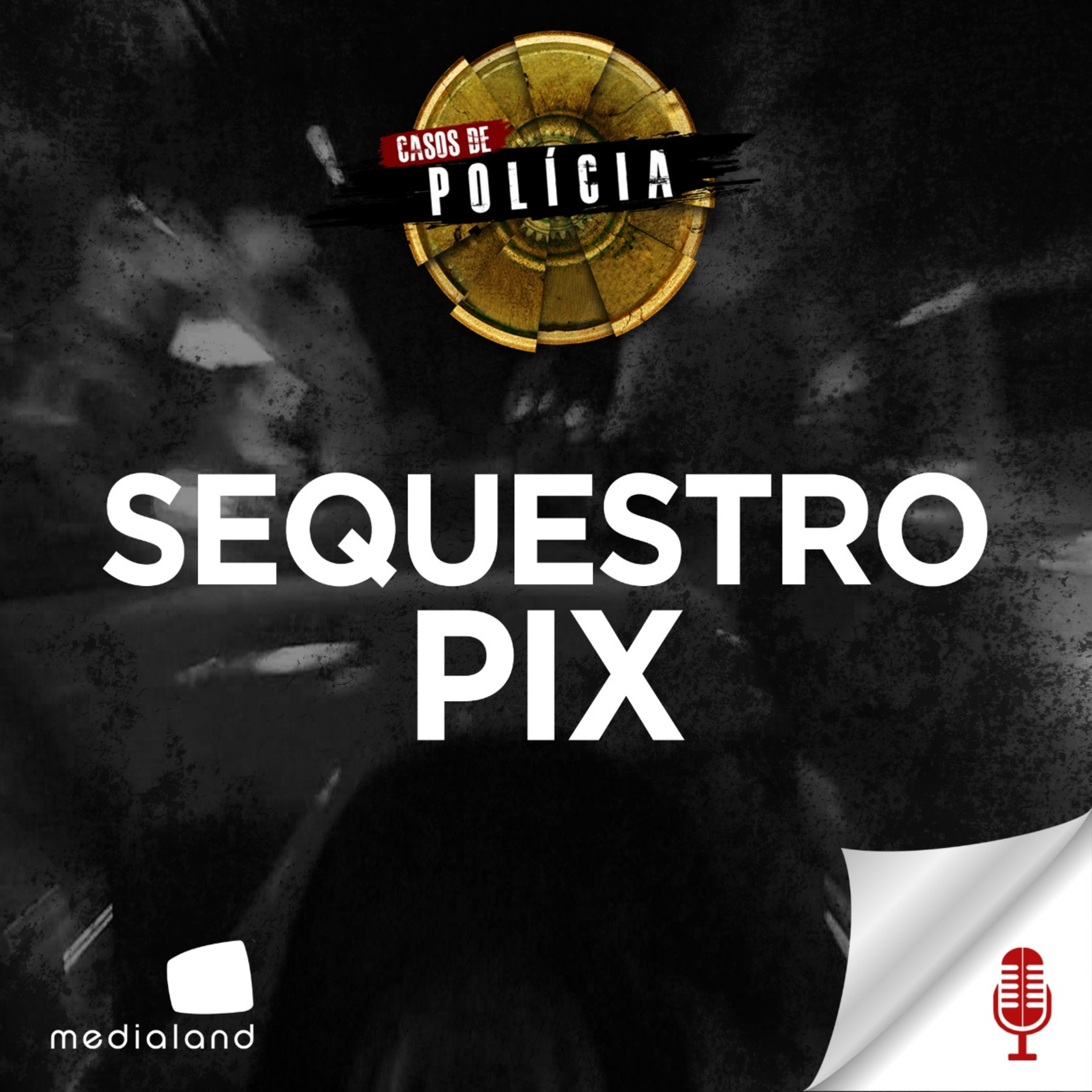 CASOS DE POLÍCIA - SEQUESTRO E ROUBO DE PIX - INVESTIGAÇÃO CRIMINAL #69 episode artwork