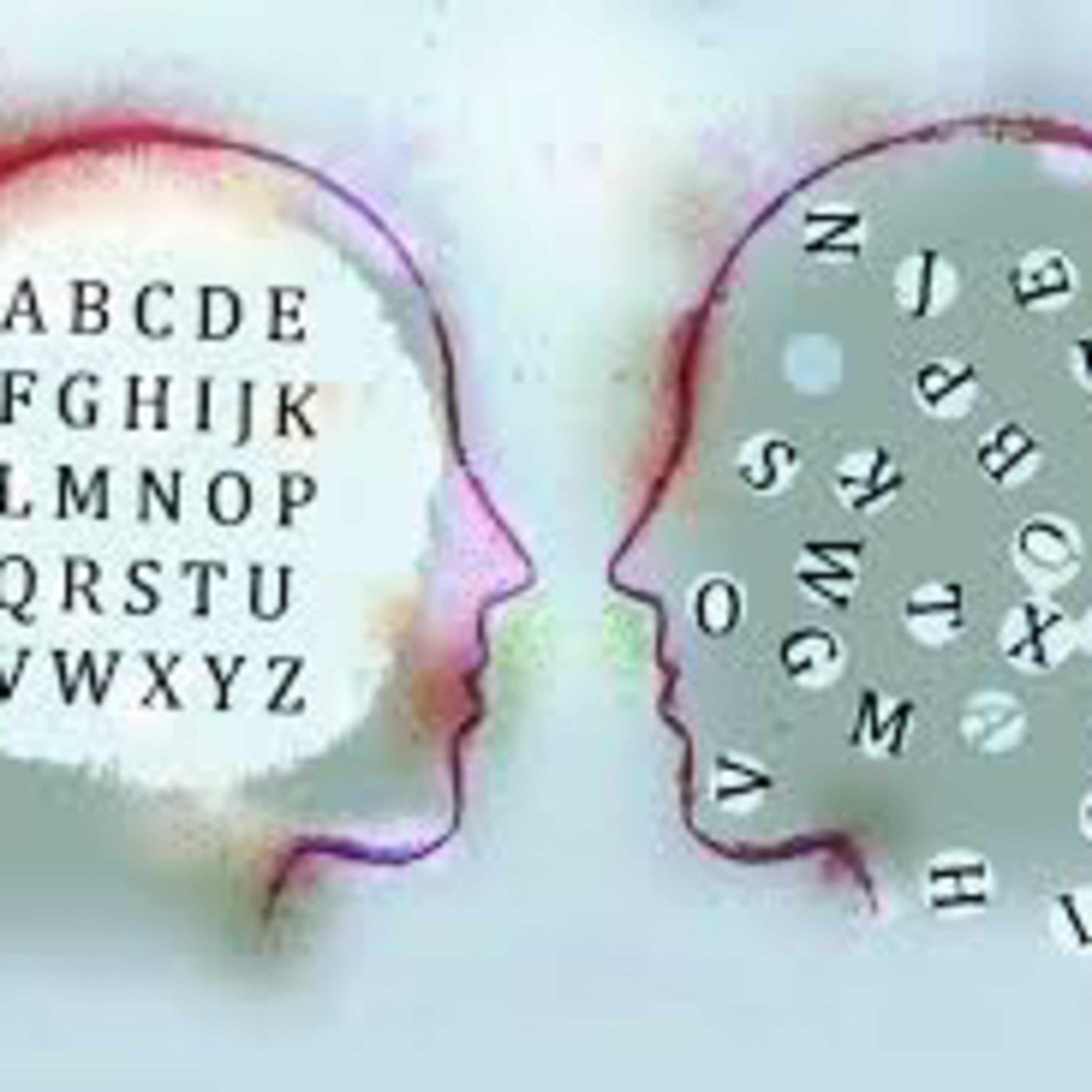 Language Structures Project  episode artwork