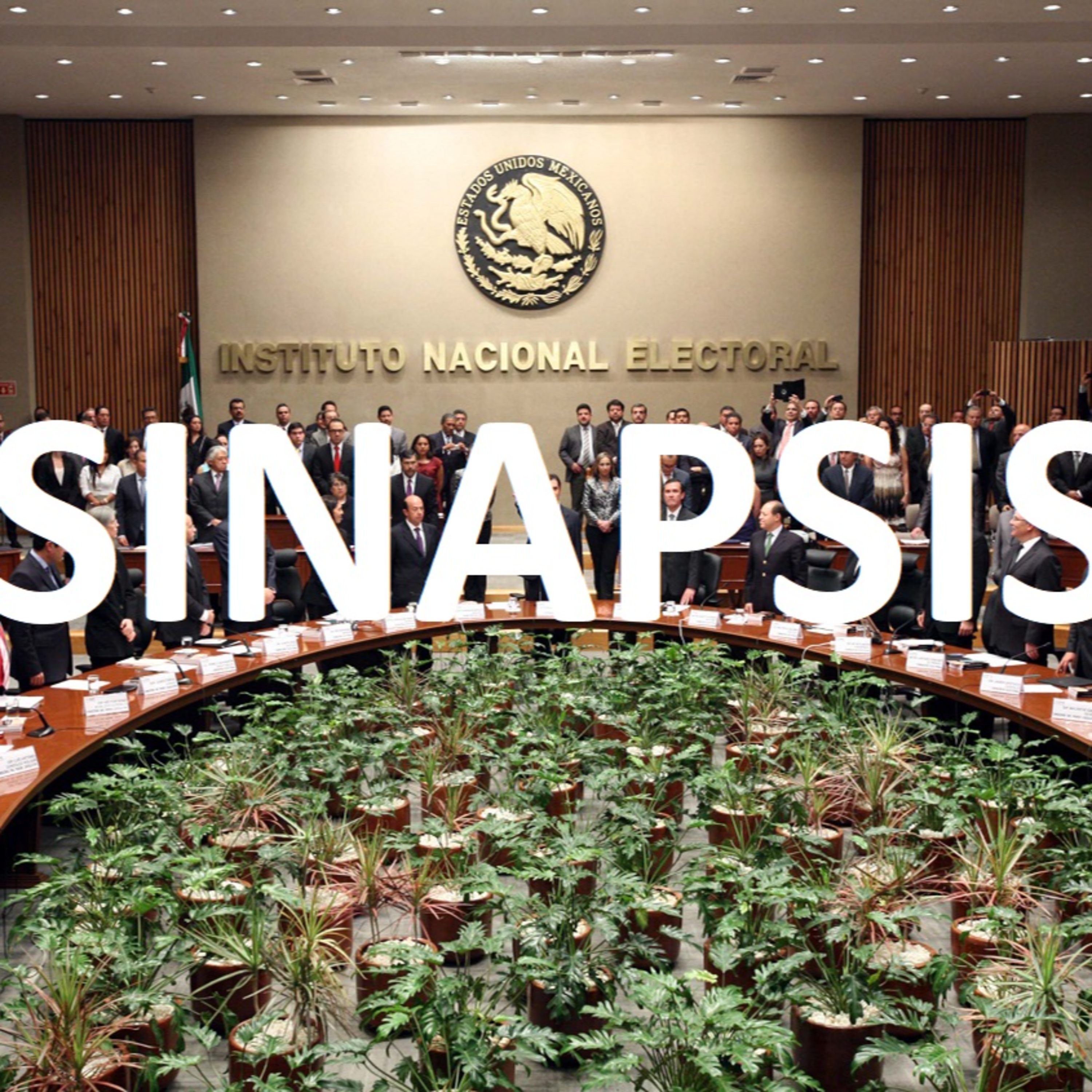 Sinapsis Política
