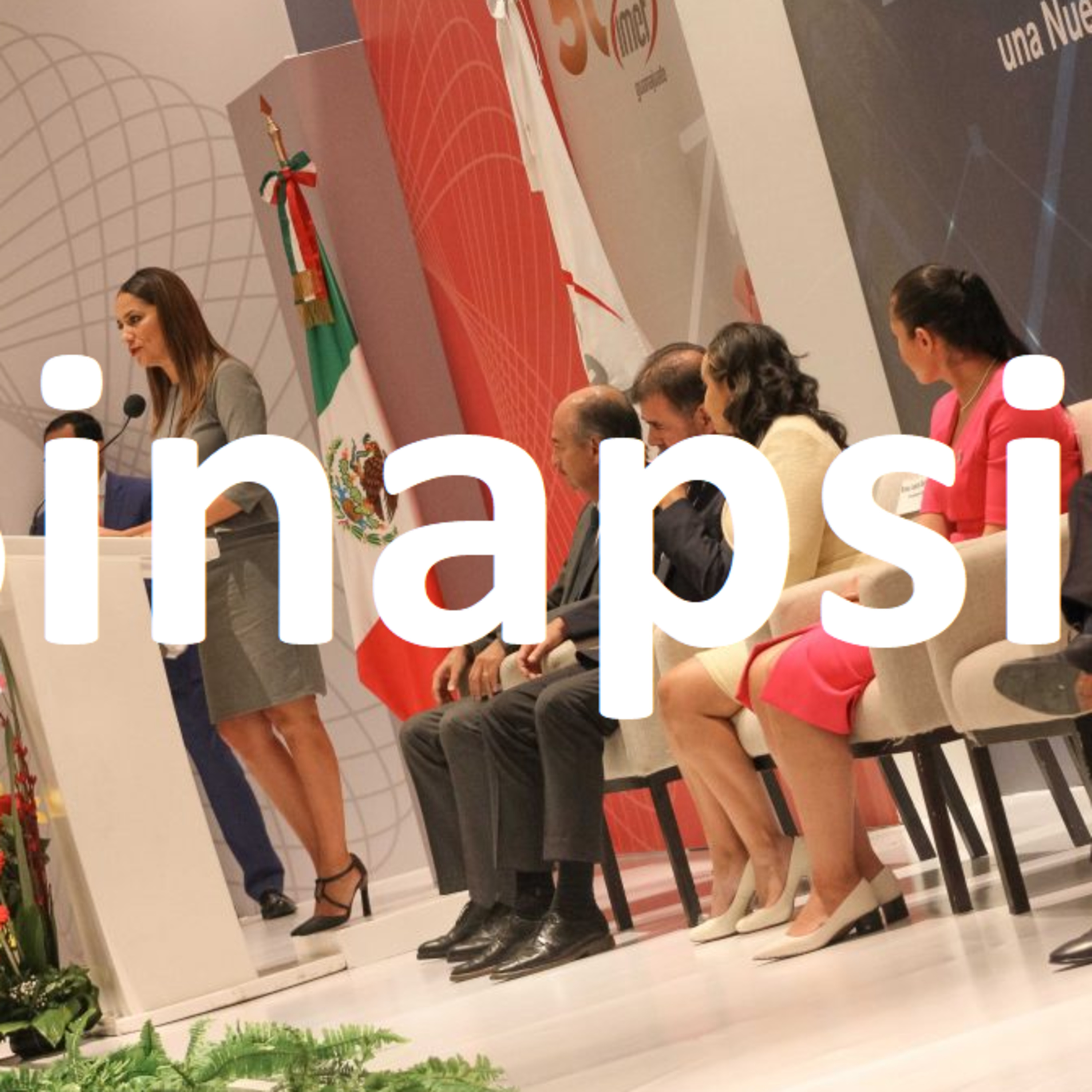 Sinapsis Política
