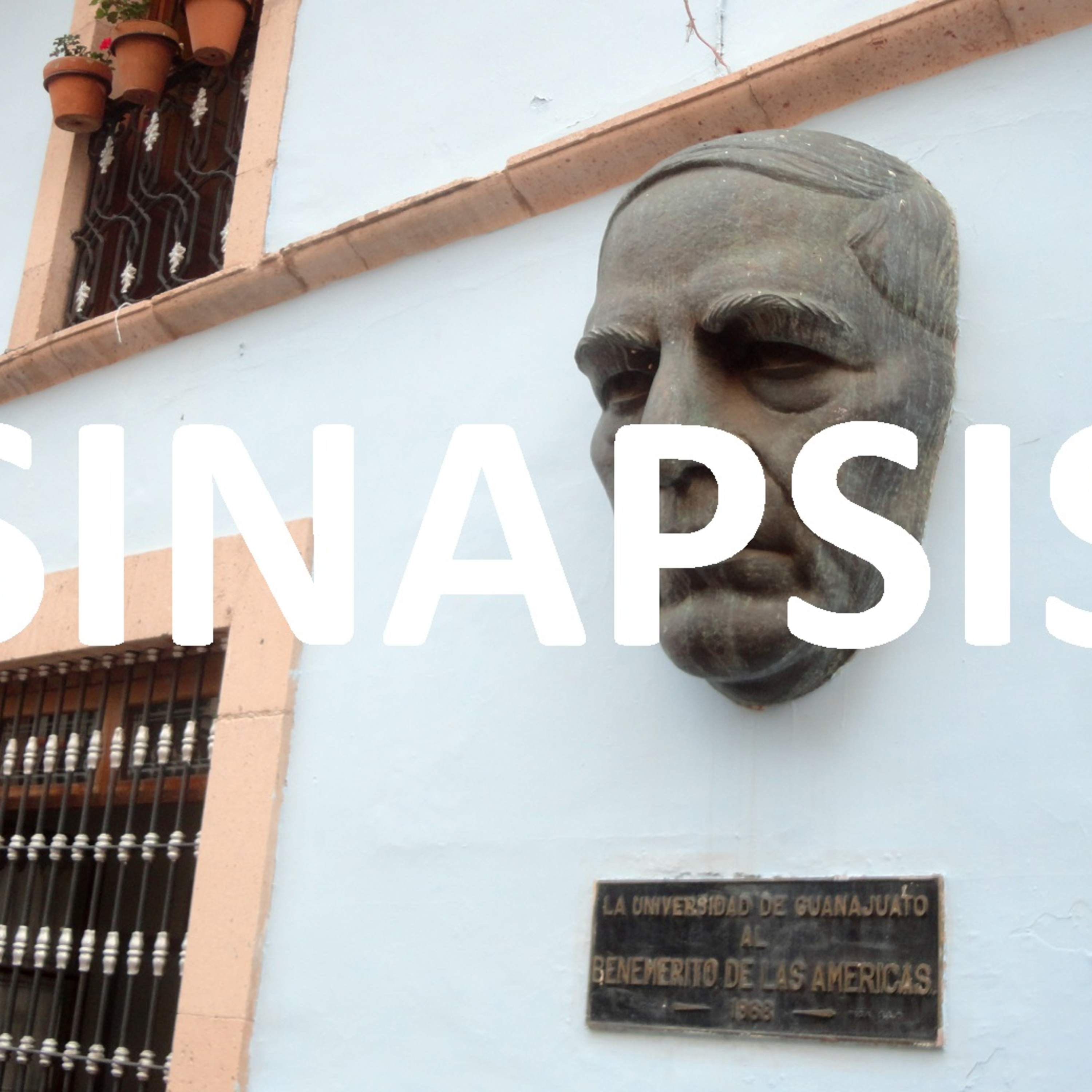Sinapsis Política