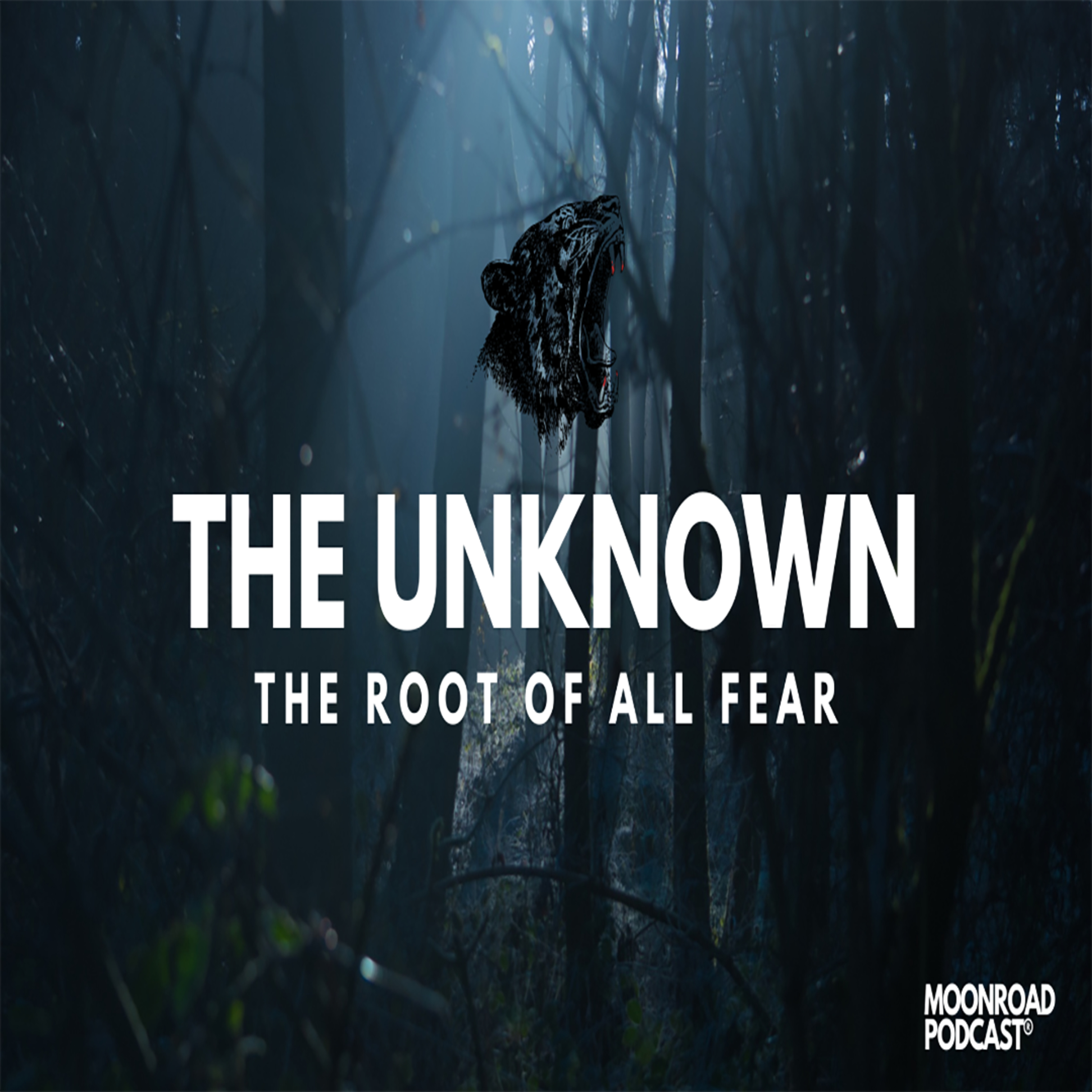 Challenging the Unknown episode artwork