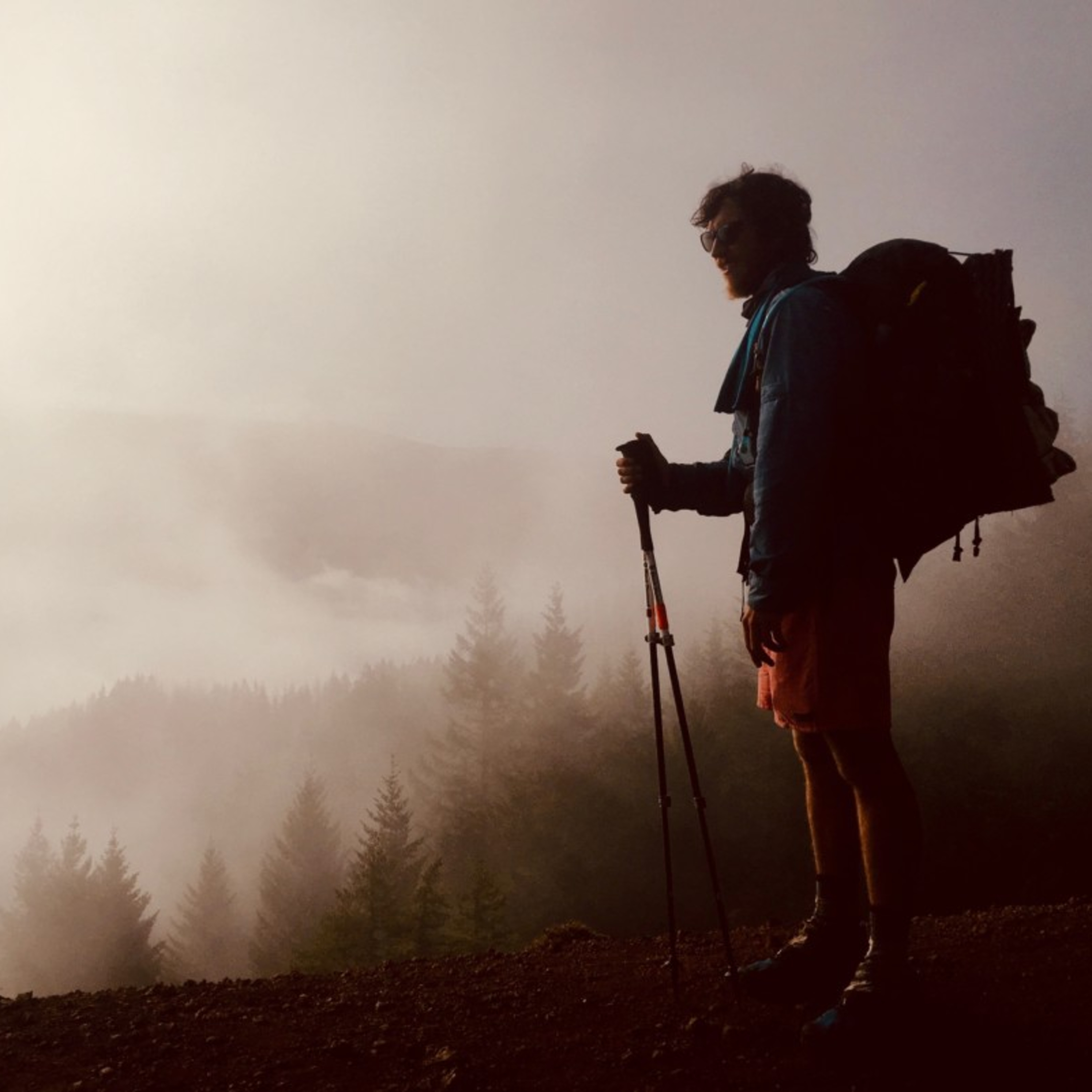 Trail and Errors