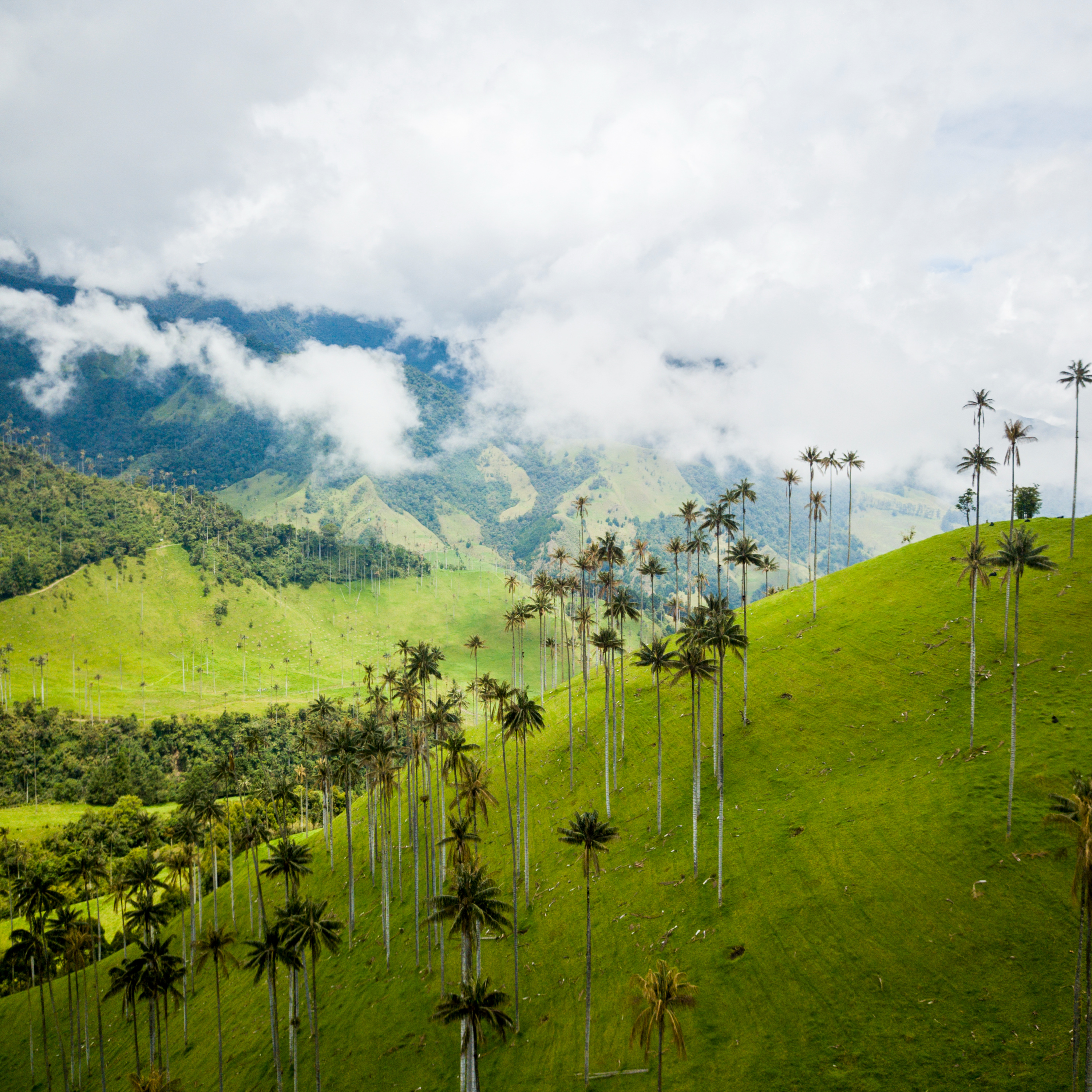 Portada de Artesanías de Colombia