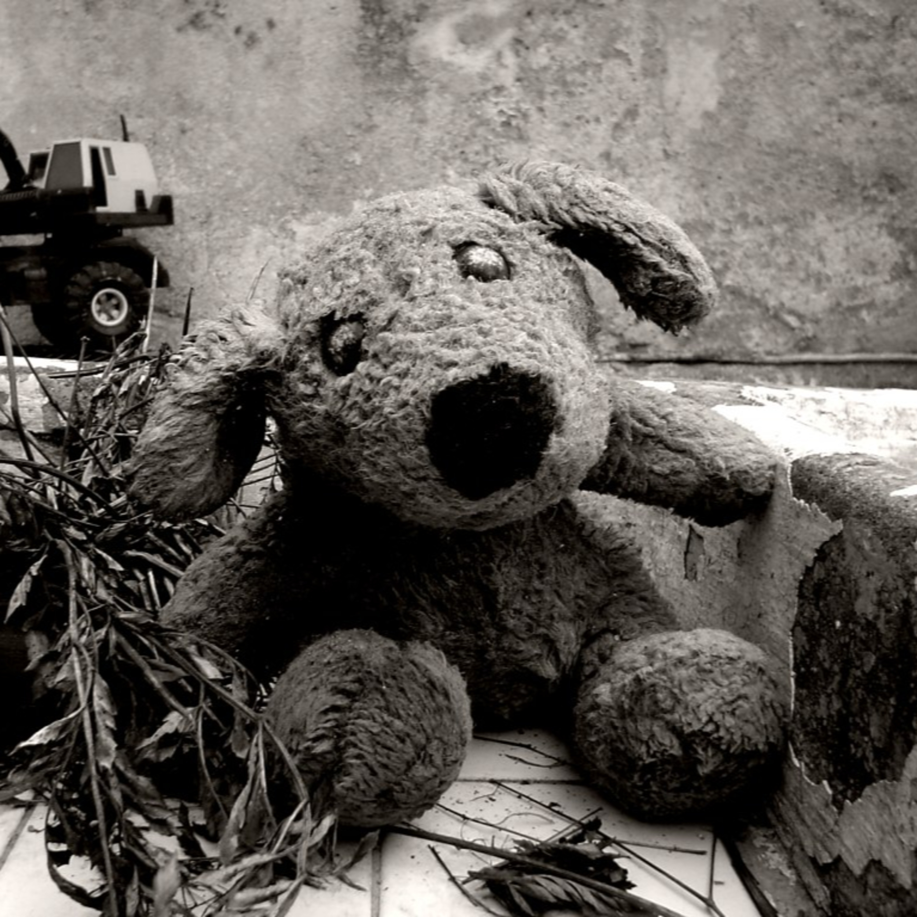 Medo do abandono? episode artwork