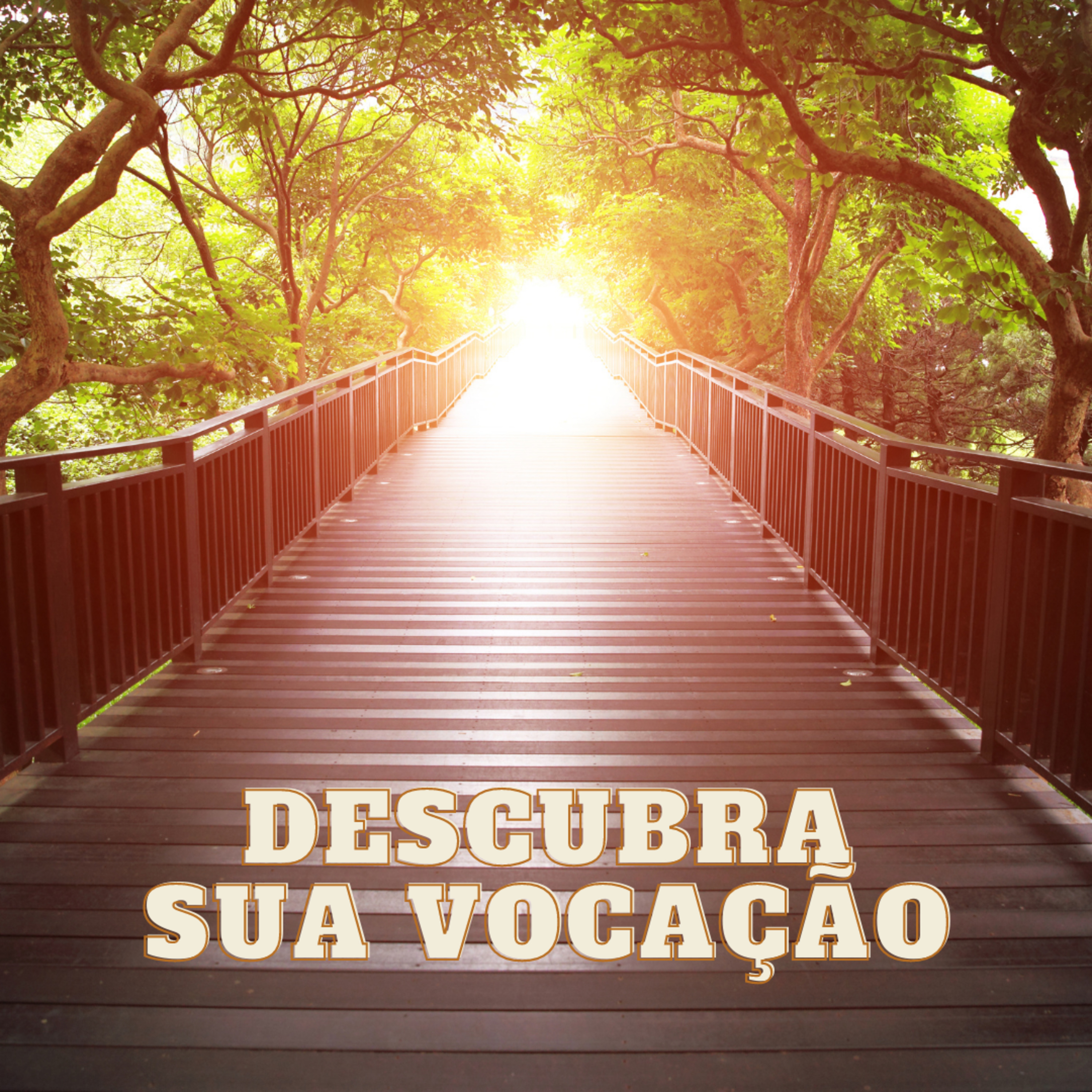 CAMINHANDO COM JESUS