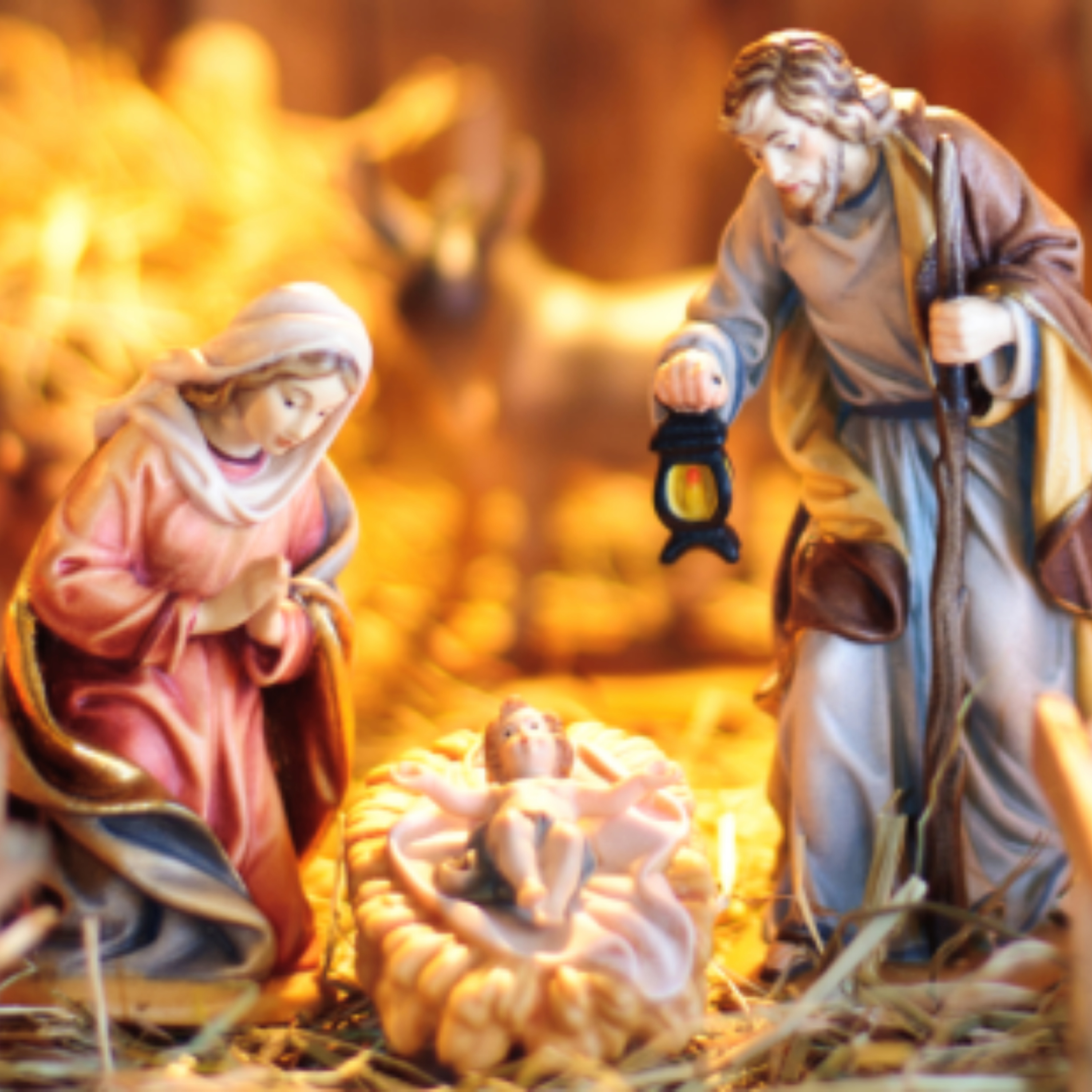 CAMINHANDO COM JESUS