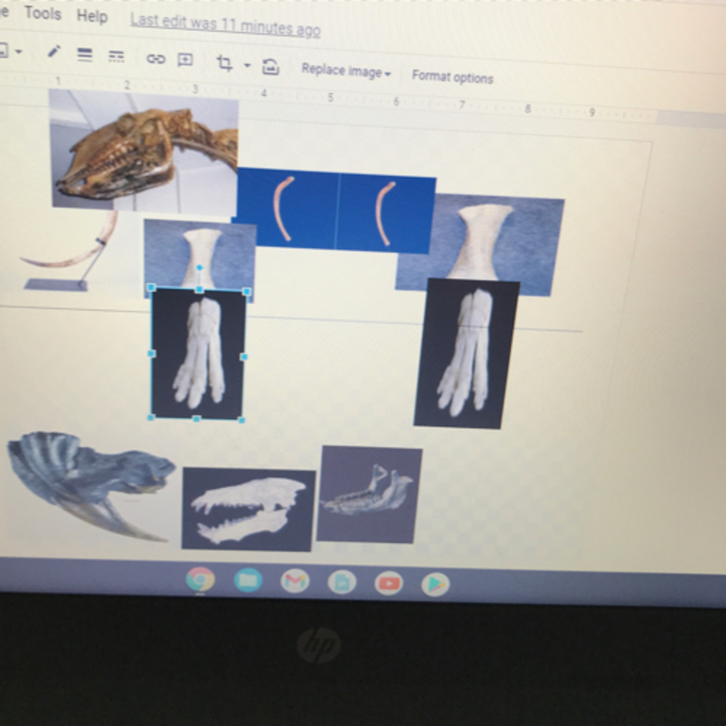 Making hybrids