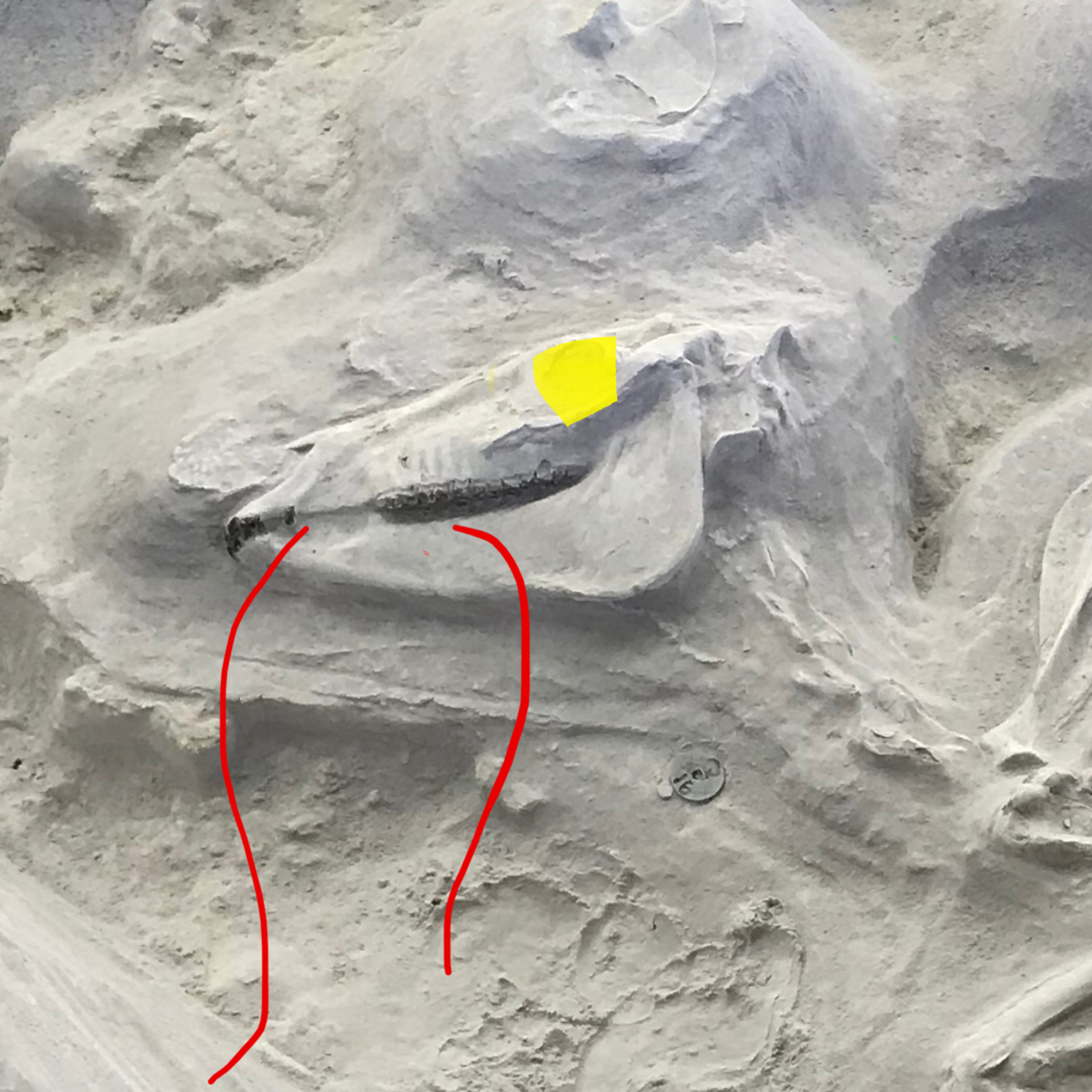 Nebraska’s fossil updates spooky podcast until Halloween